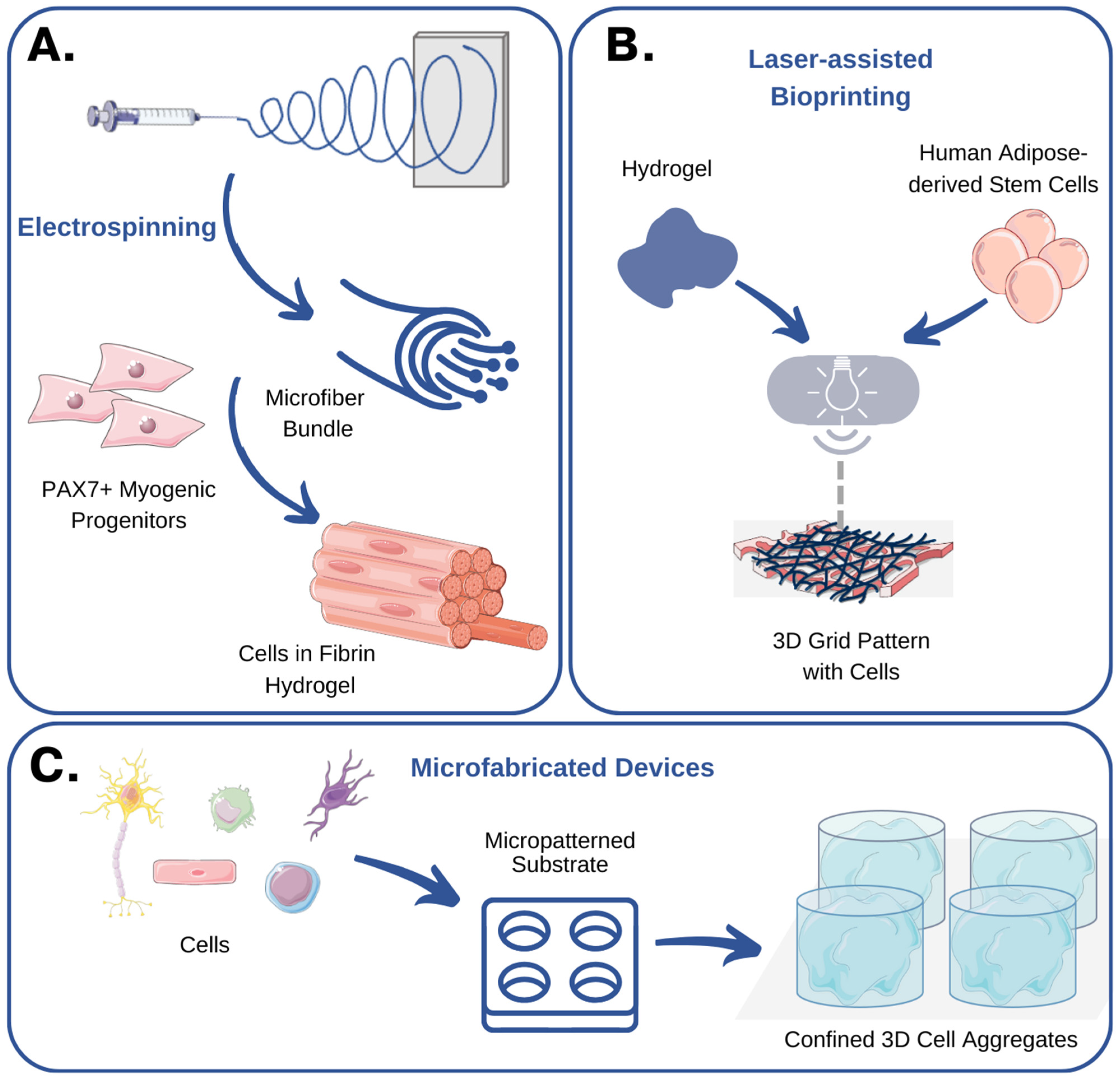 Bioengineering 11 00289 g004