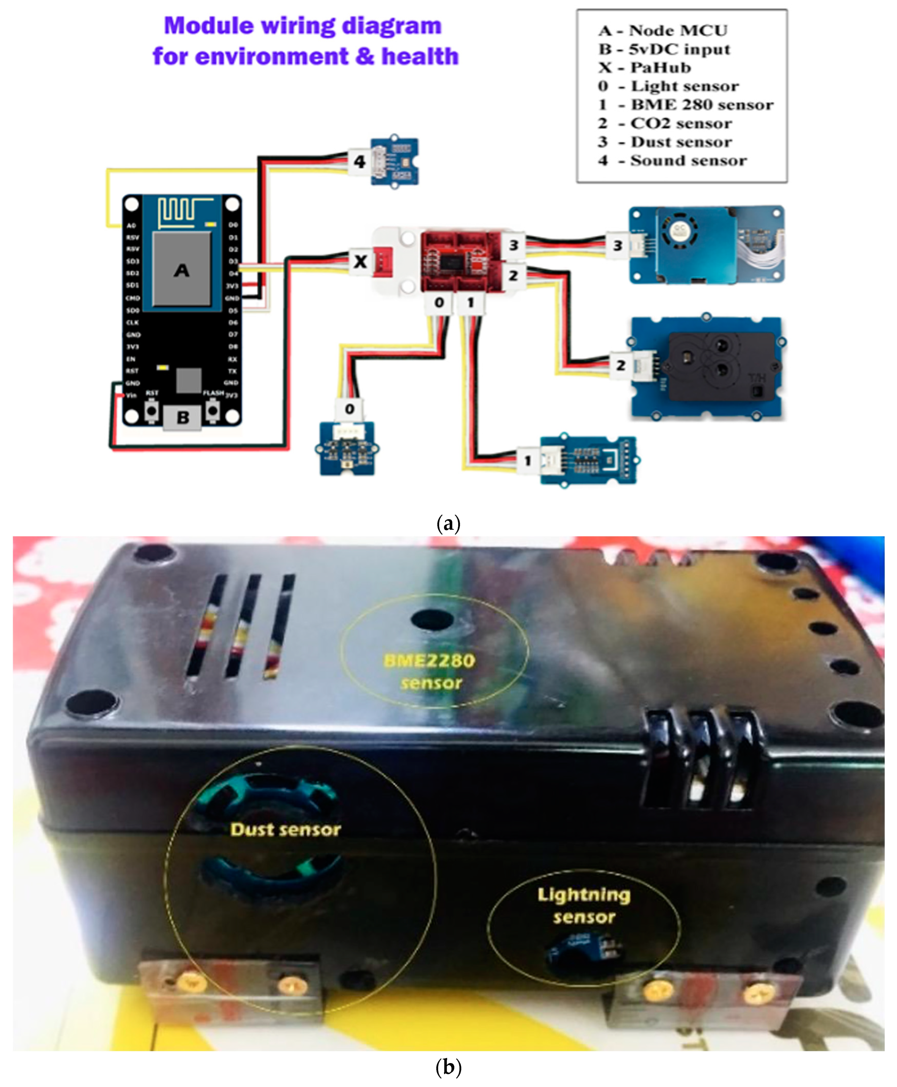 Bioengineering 11 00291 g003