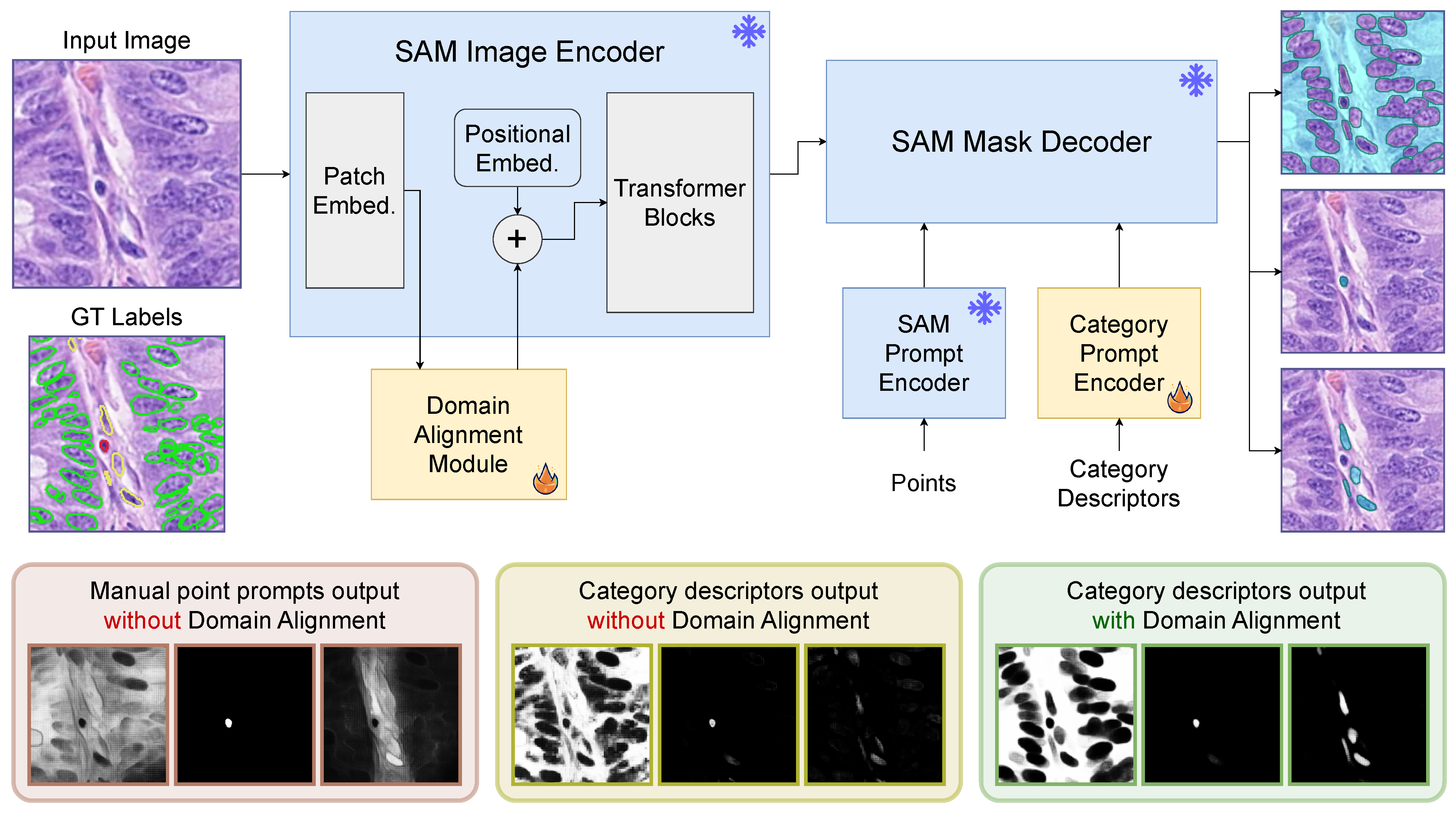 Bioengineering 11 00294 g001
