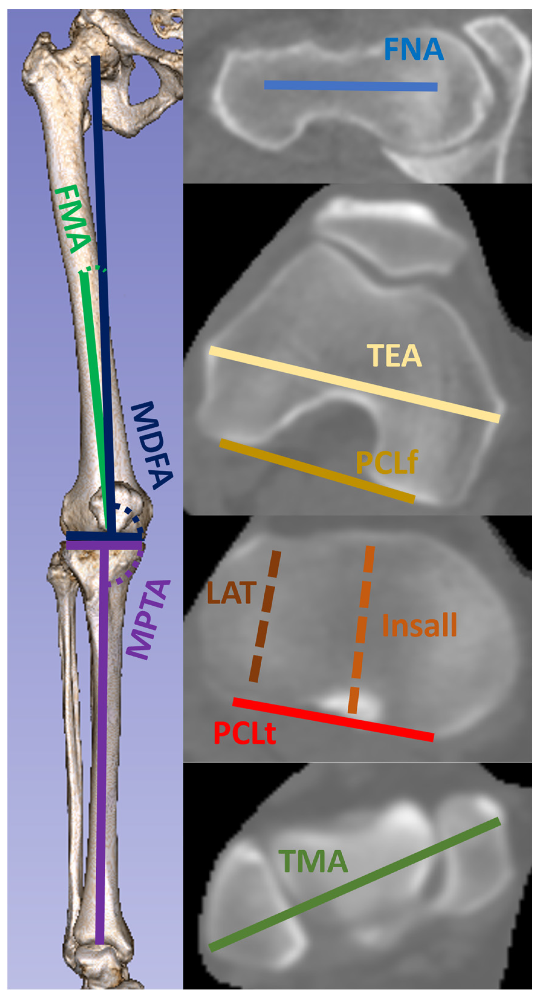 Bioengineering 11 00296 g001 Bioengineering 11 00296 g001