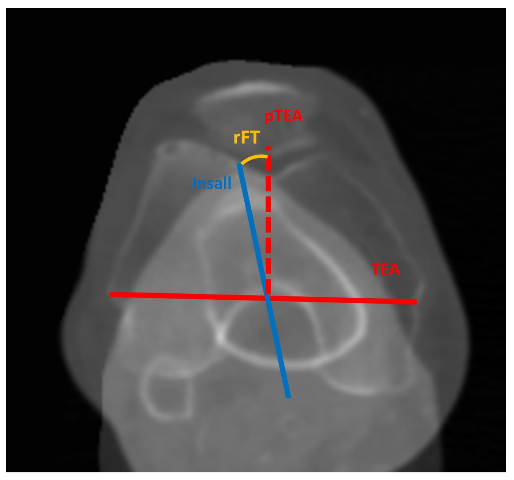 Bioengineering 11 00296 g002 Bioengineering 11 00296 g002