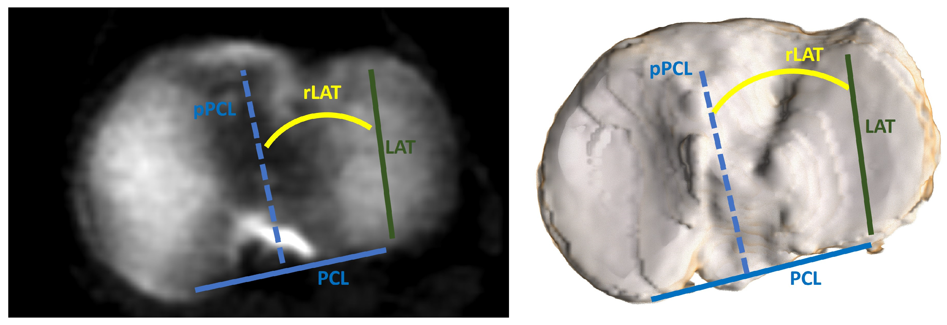 Bioengineering 11 00296 g003 Bioengineering 11 00296 g003