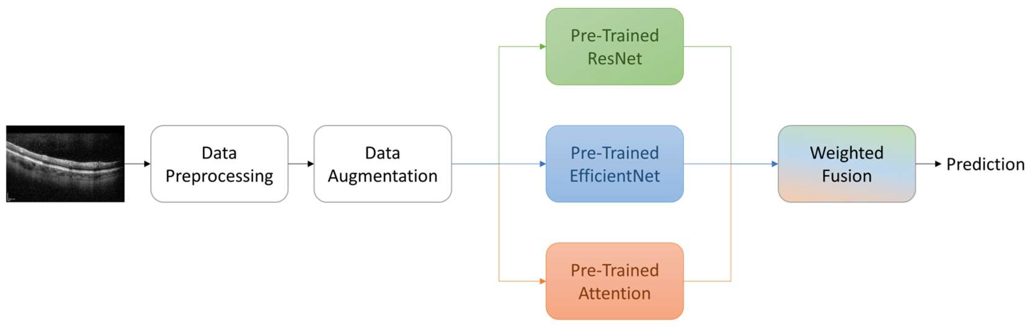 Bioengineering 11 00300 g003