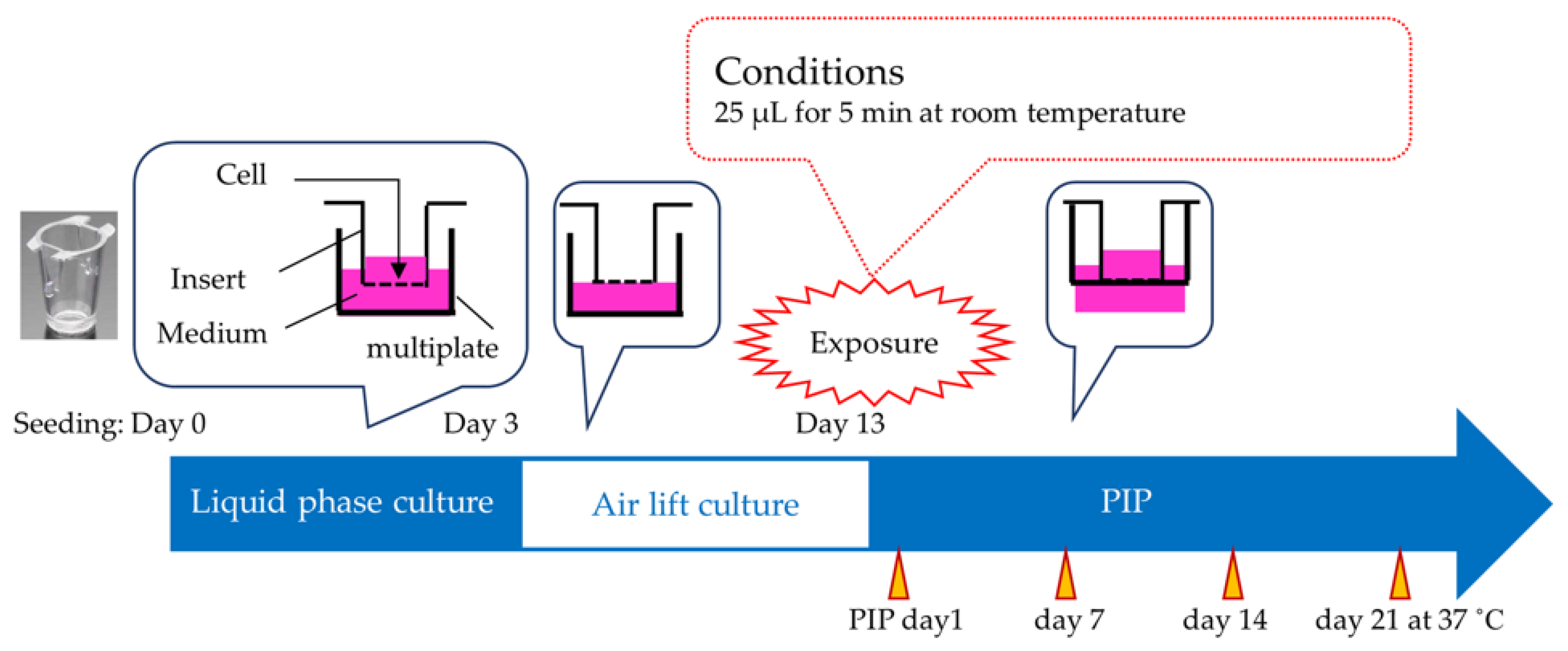 Bioengineering 11 00302 g001