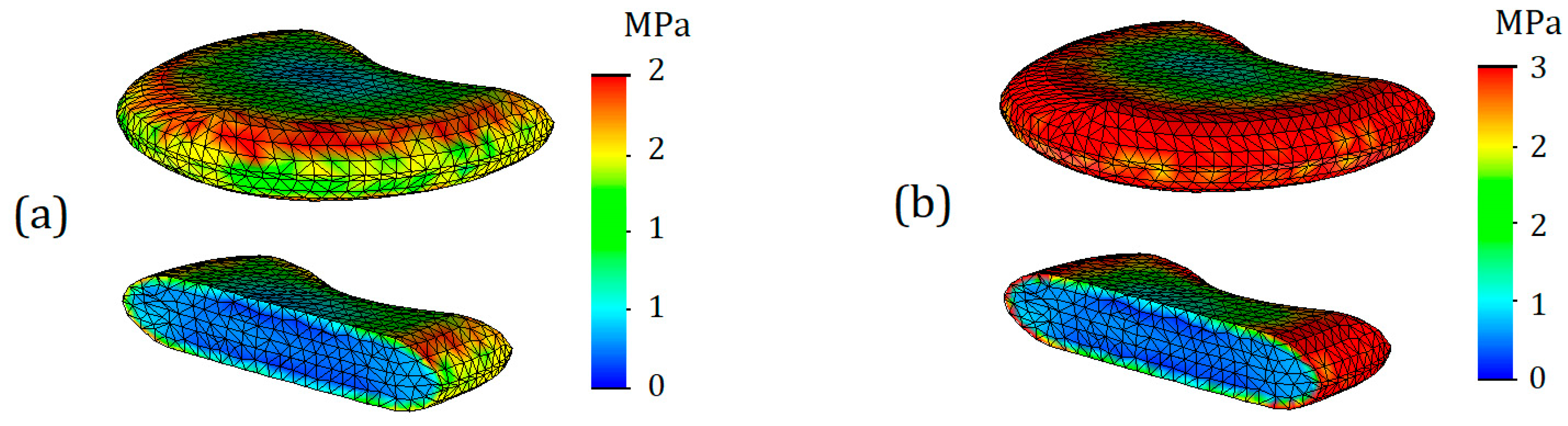 Bioengineering 11 00305 g007