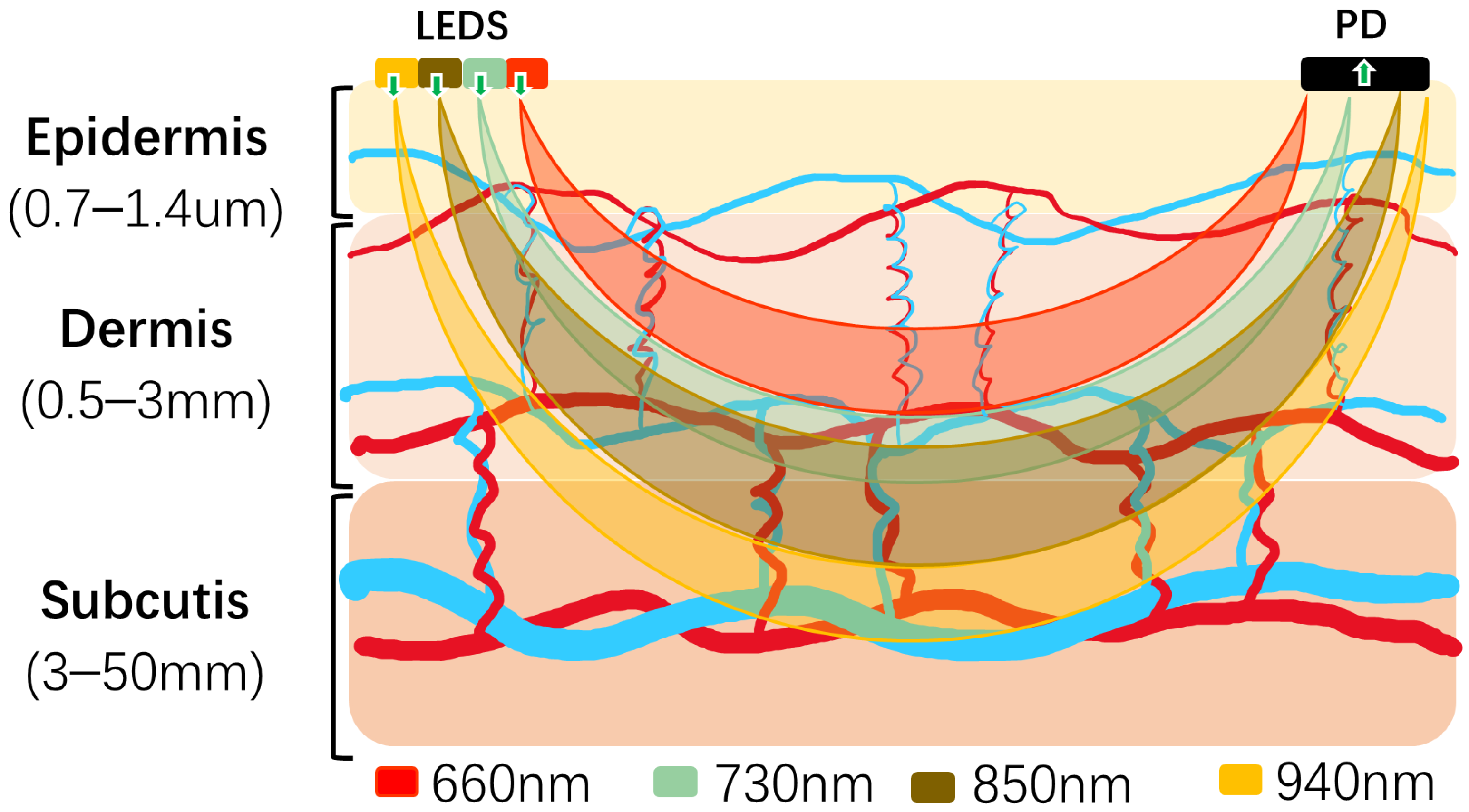 Bioengineering 11 00306 g001