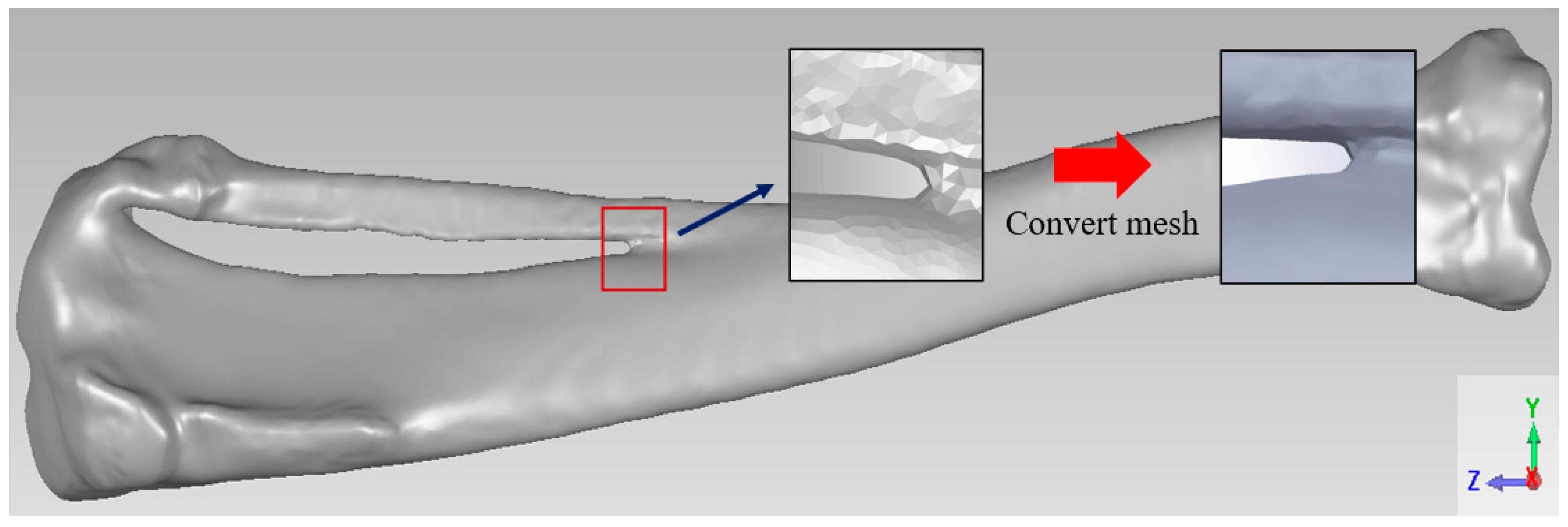 Bioengineering 11 00308 g001