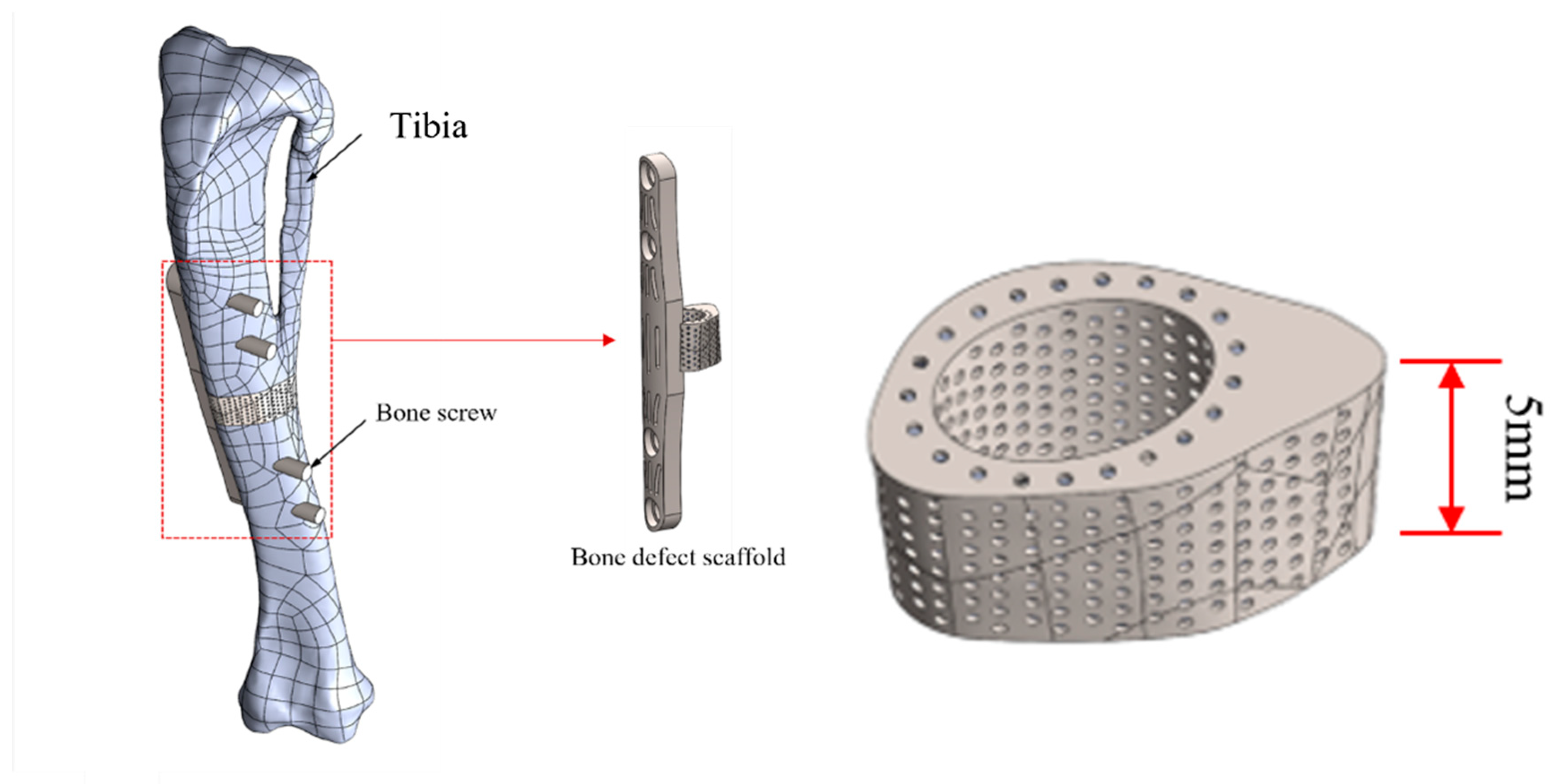 Bioengineering 11 00308 g002