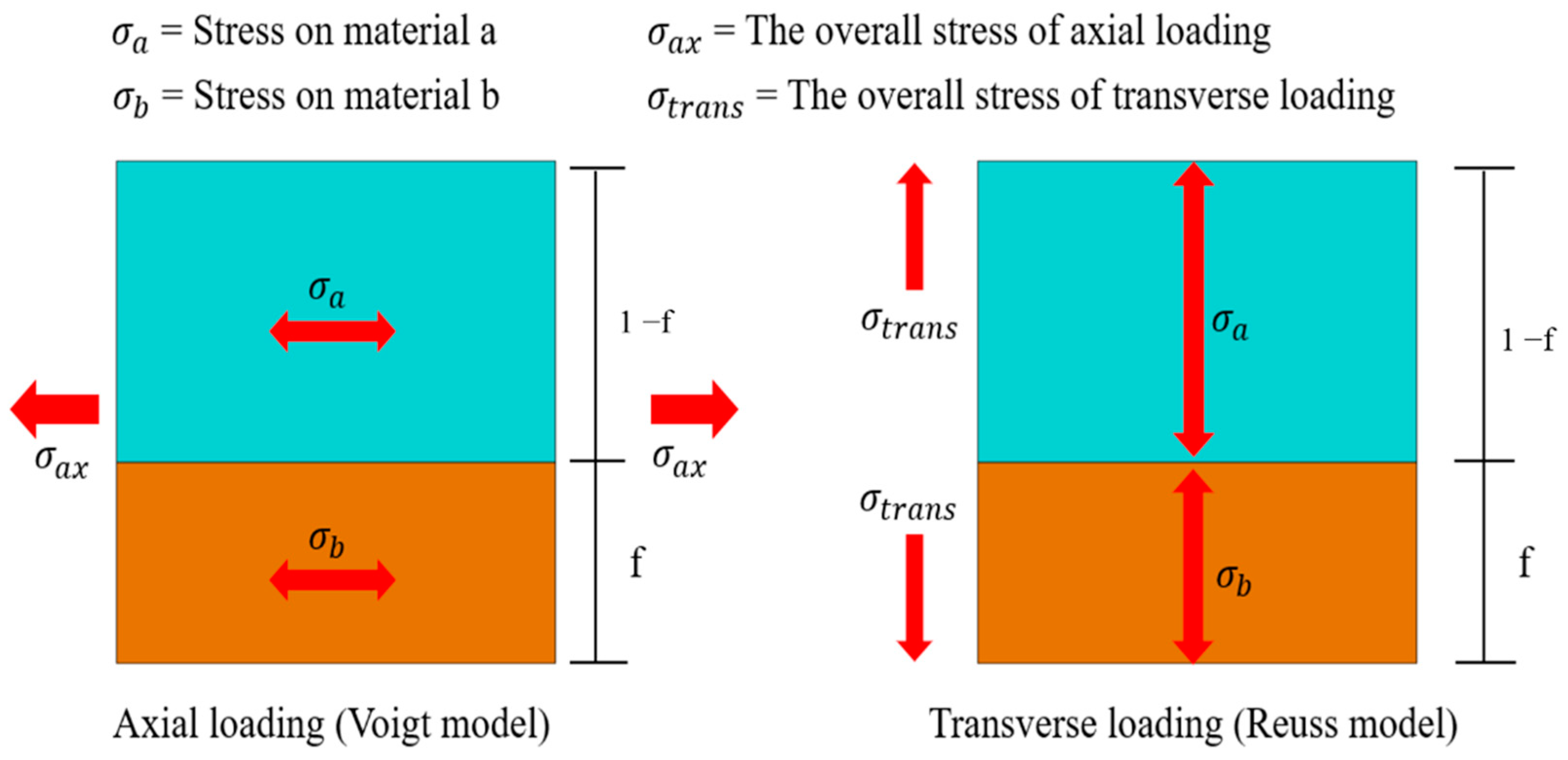 Bioengineering 11 00308 g004