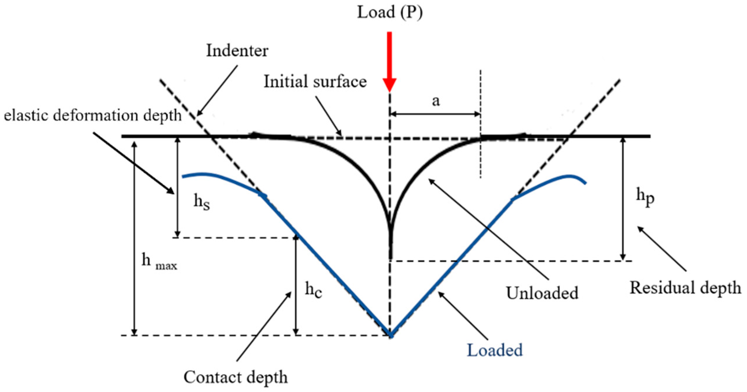 Bioengineering 11 00308 g006
