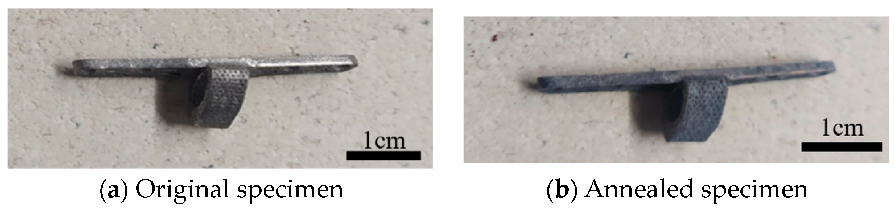 Bioengineering 11 00308 g010
