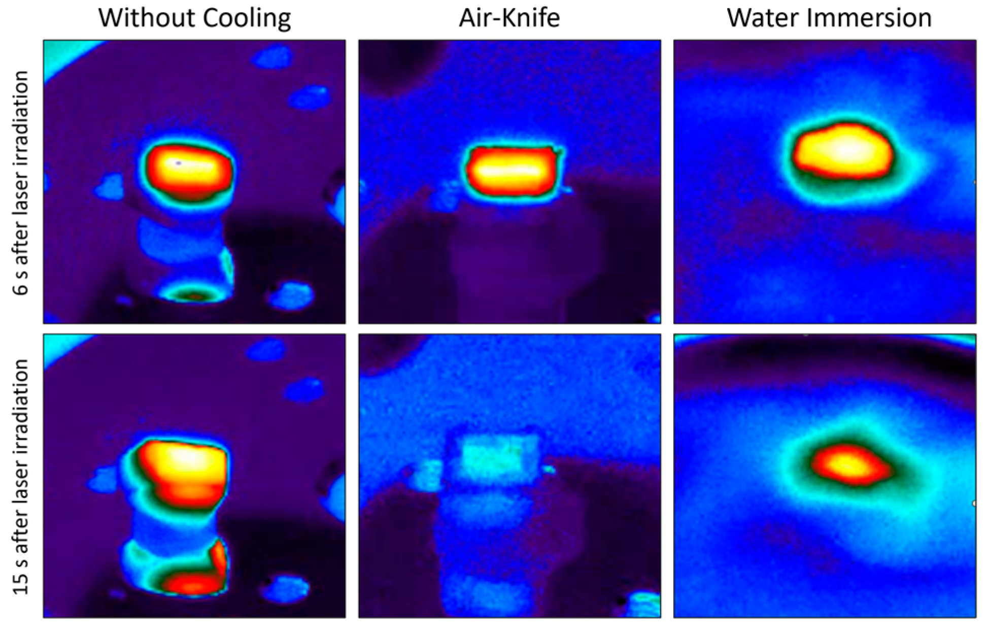 Bioengineering 11 00309 g007