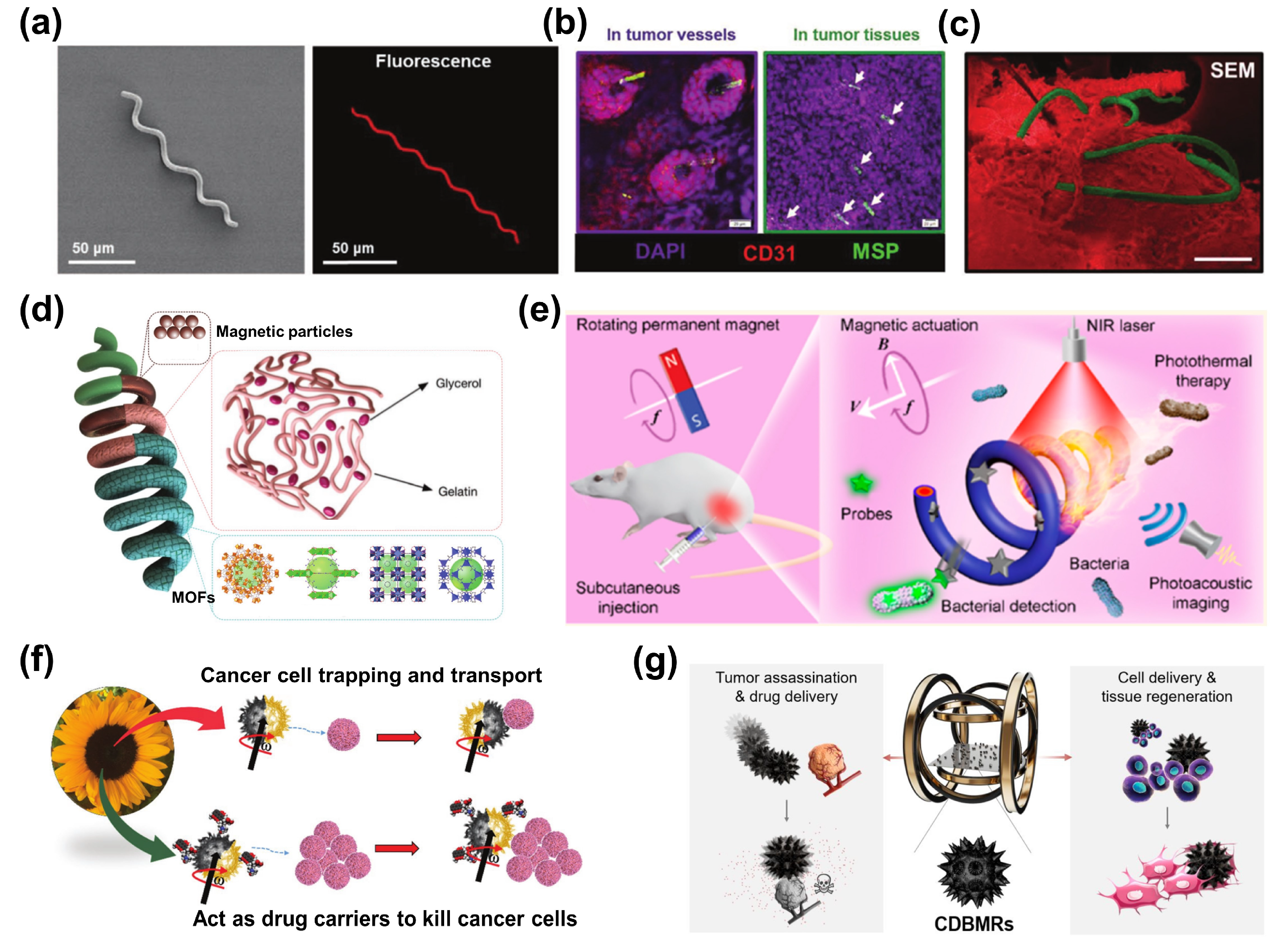 Bioengineering 11 00311 g005