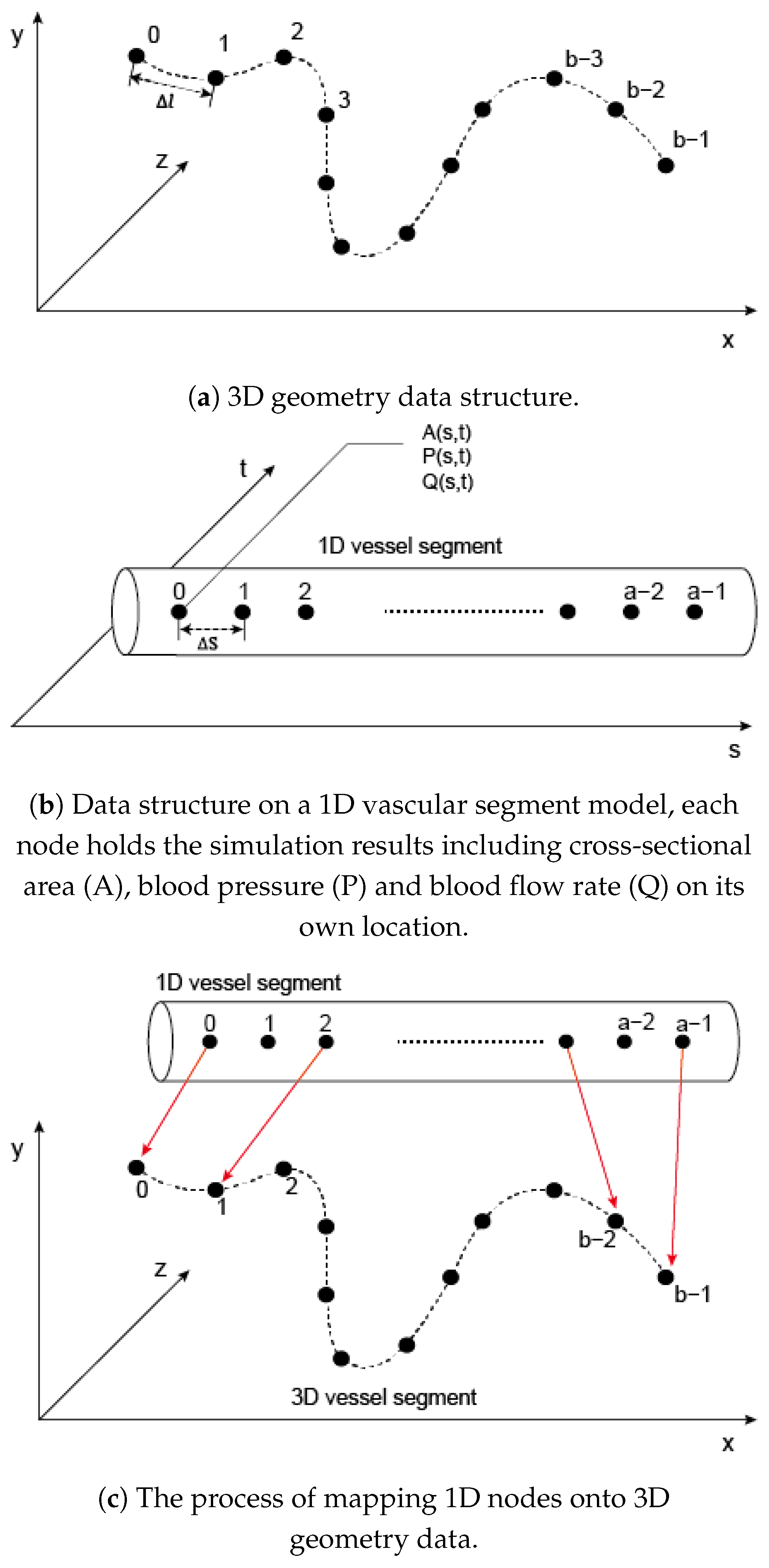 Bioengineering 11 00313 g003