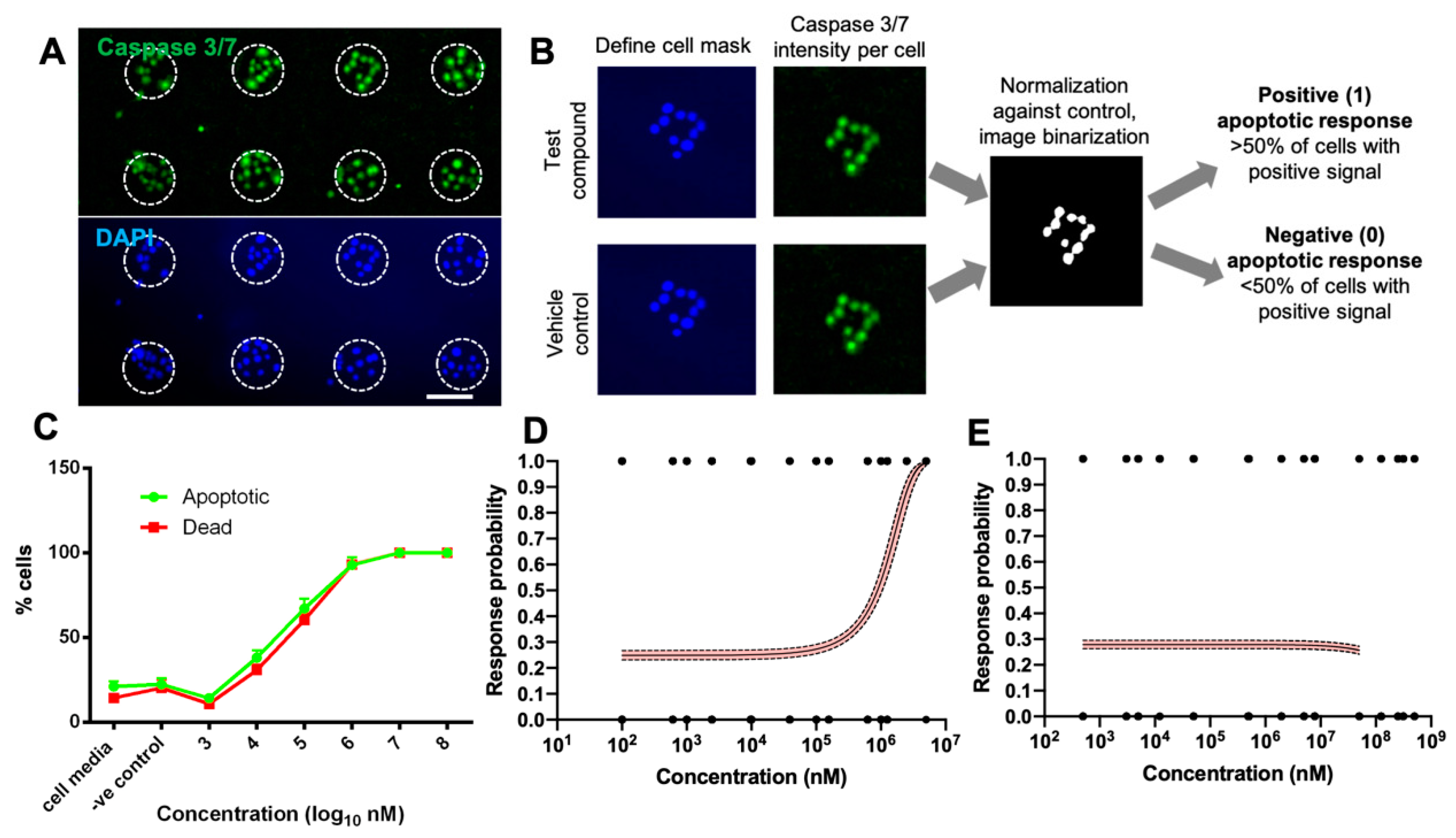 Bioengineering 11 00315 g002