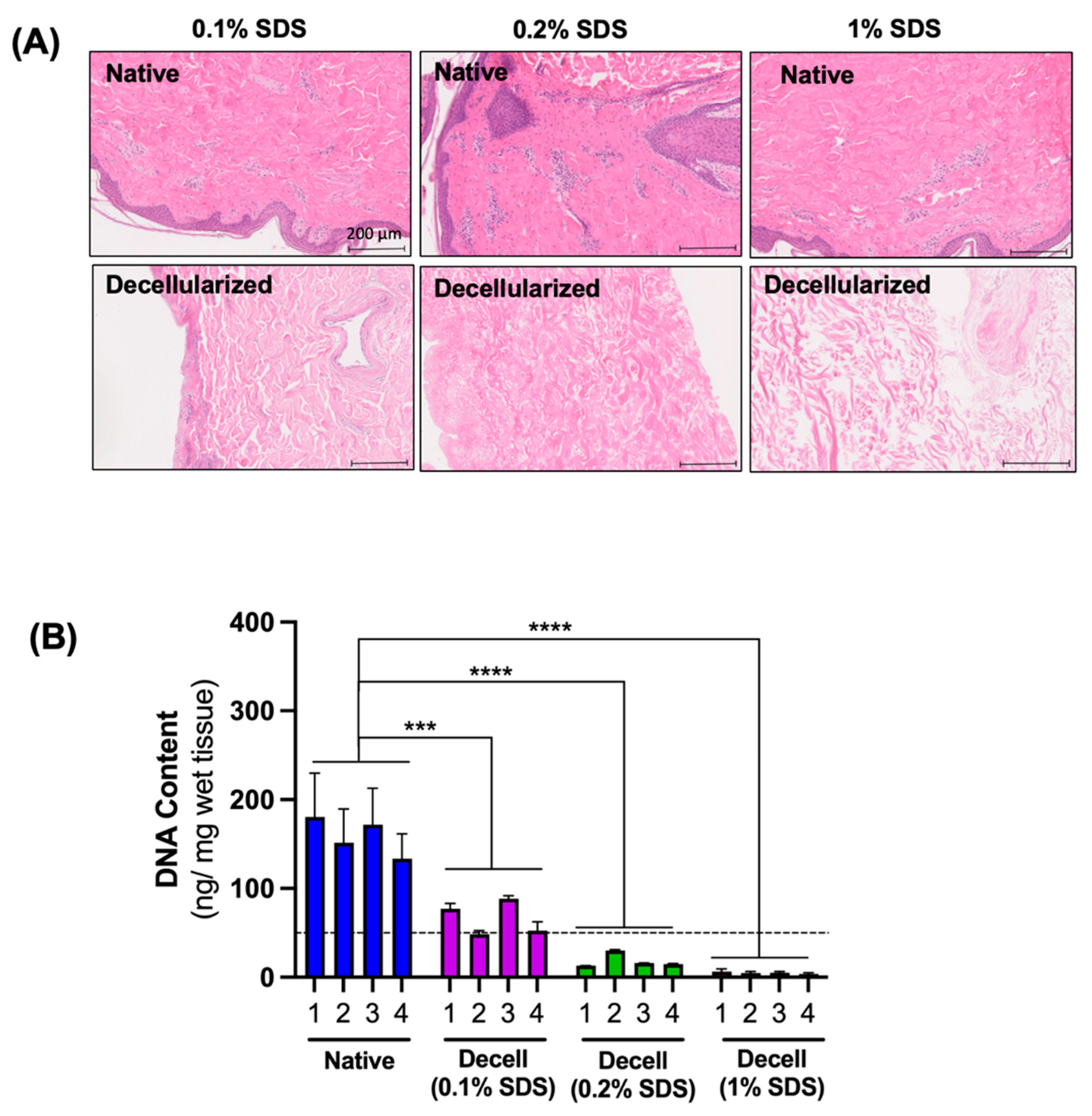 Bioengineering 11 00321 g003