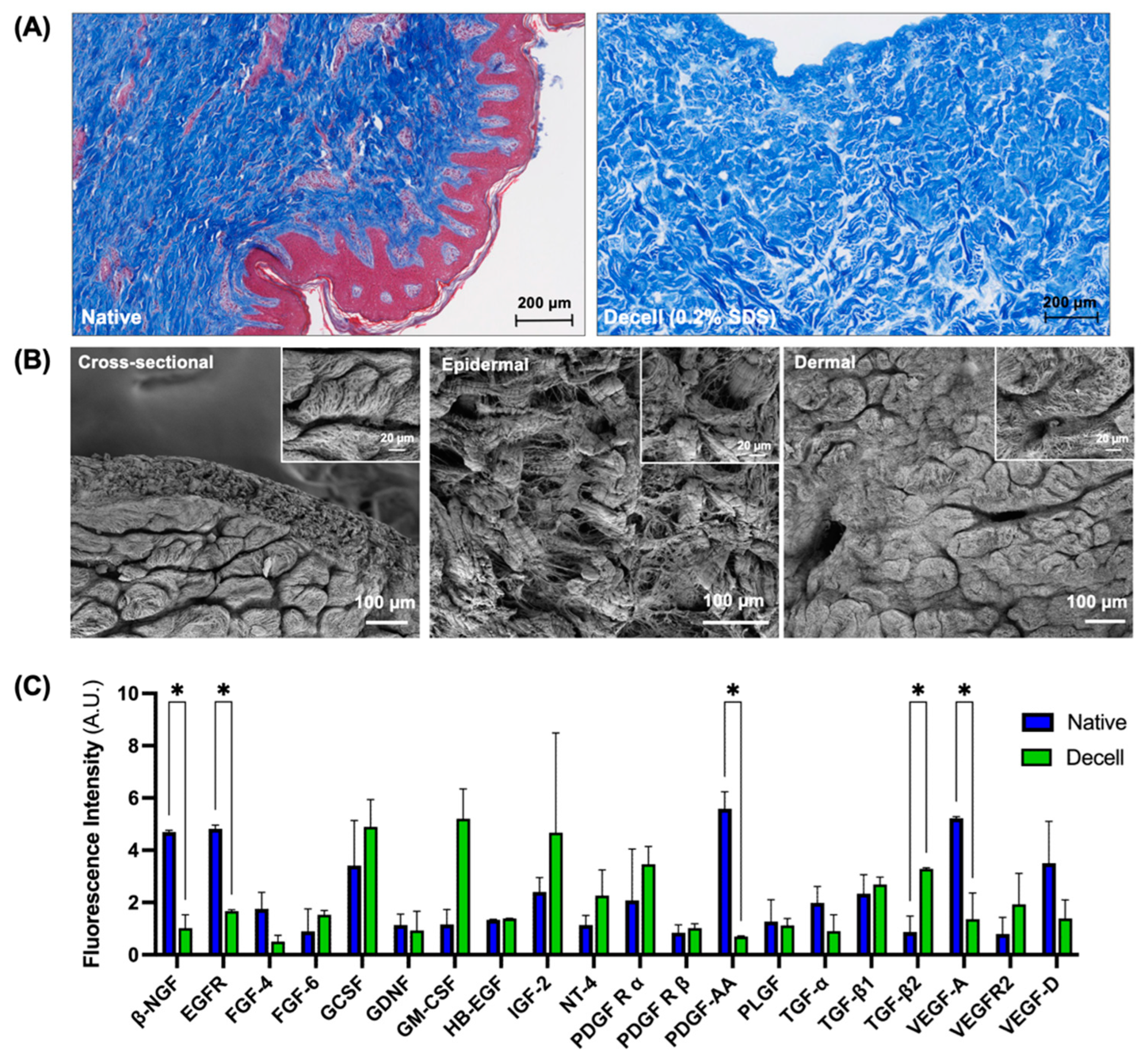 Bioengineering 11 00321 g005