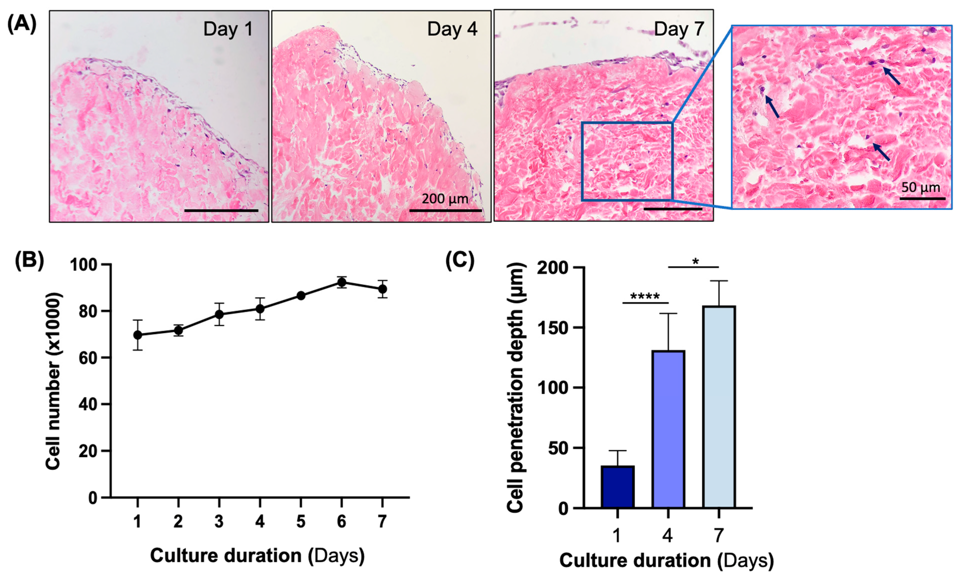 Bioengineering 11 00321 g006