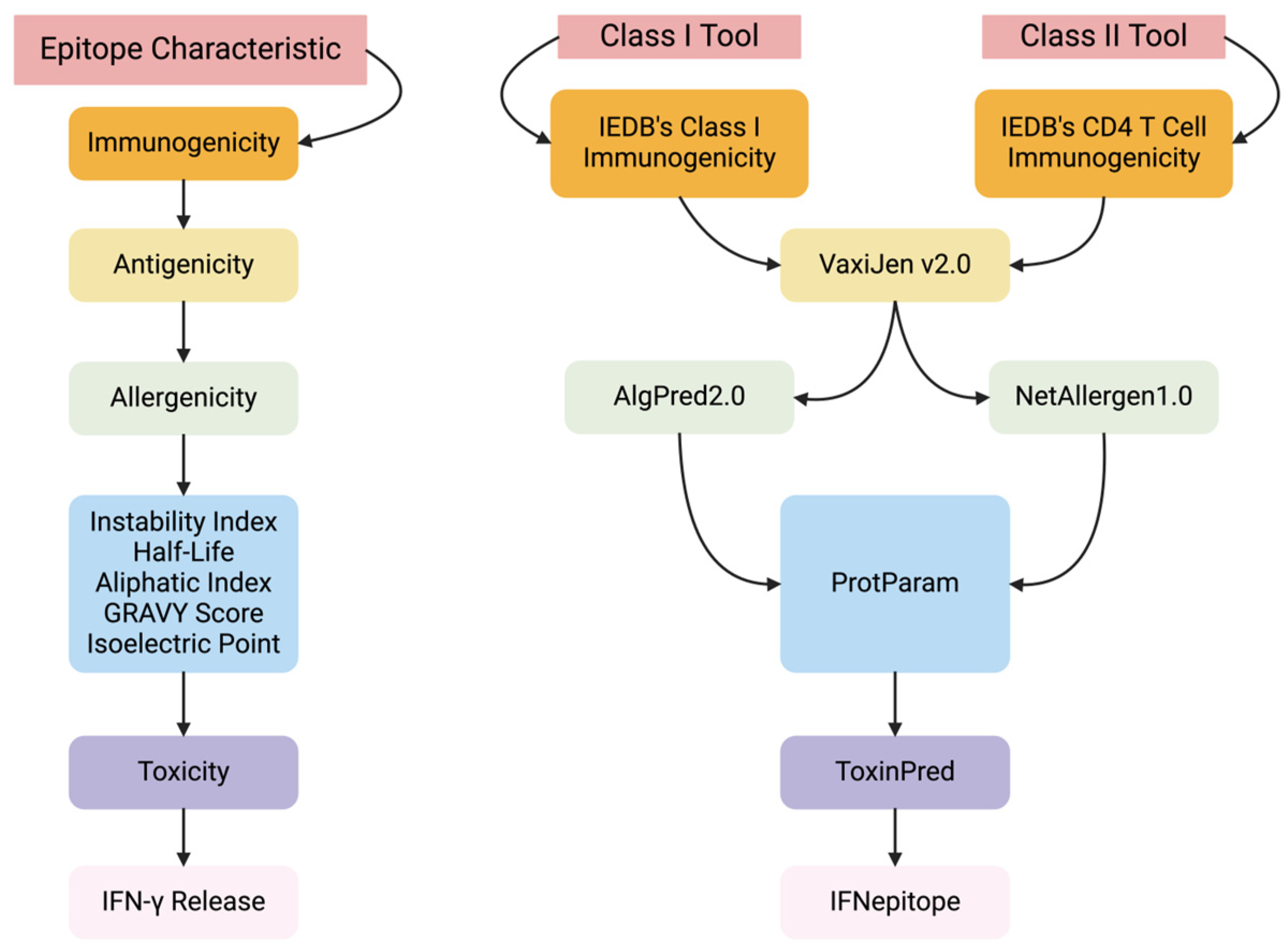 Bioengineering 11 00322 g001