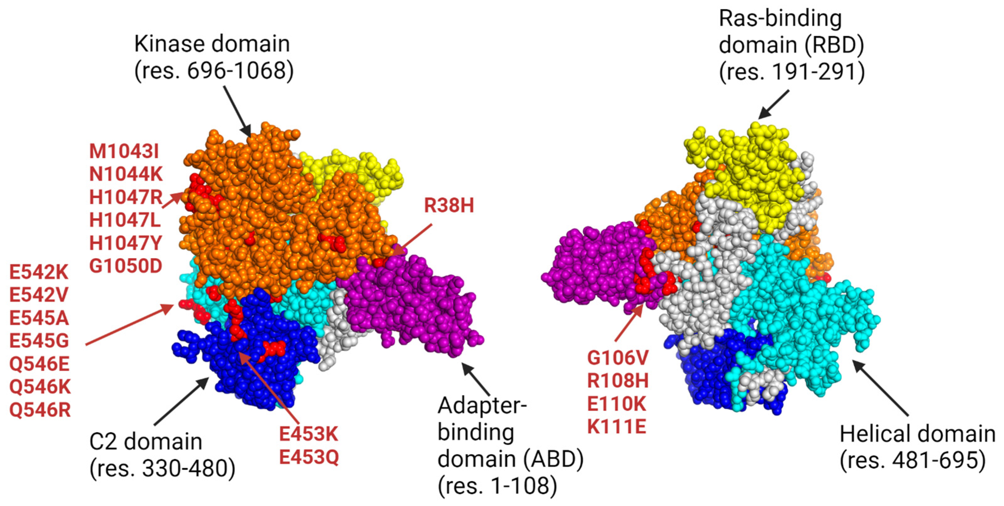 Bioengineering 11 00322 g002