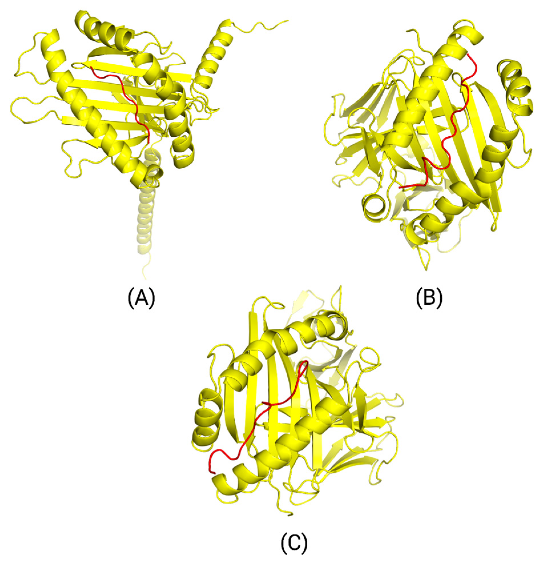 Bioengineering 11 00322 g007
