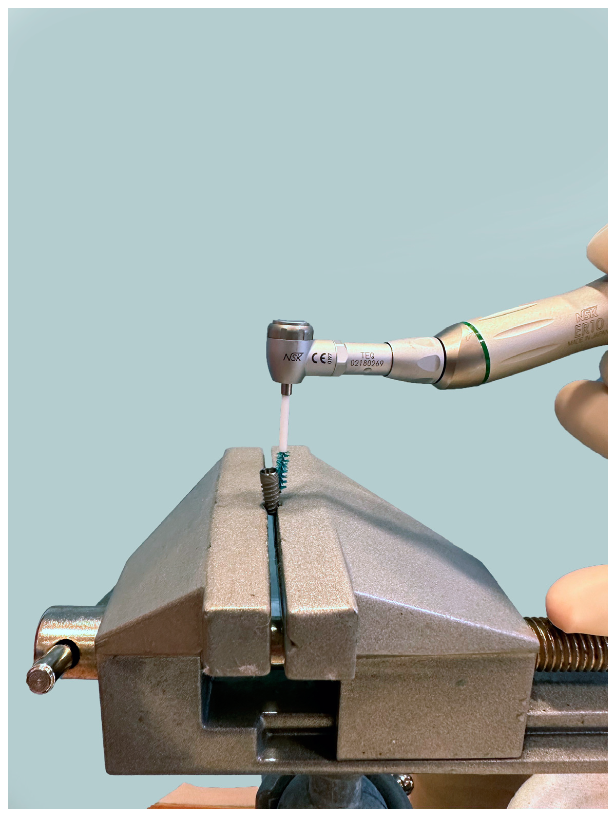 Bioengineering 11 00326 g003