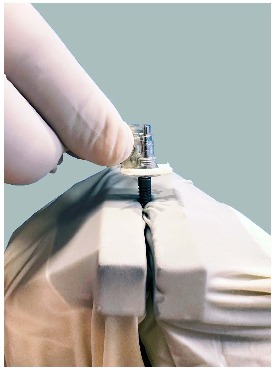 Bioengineering 11 00326 g004