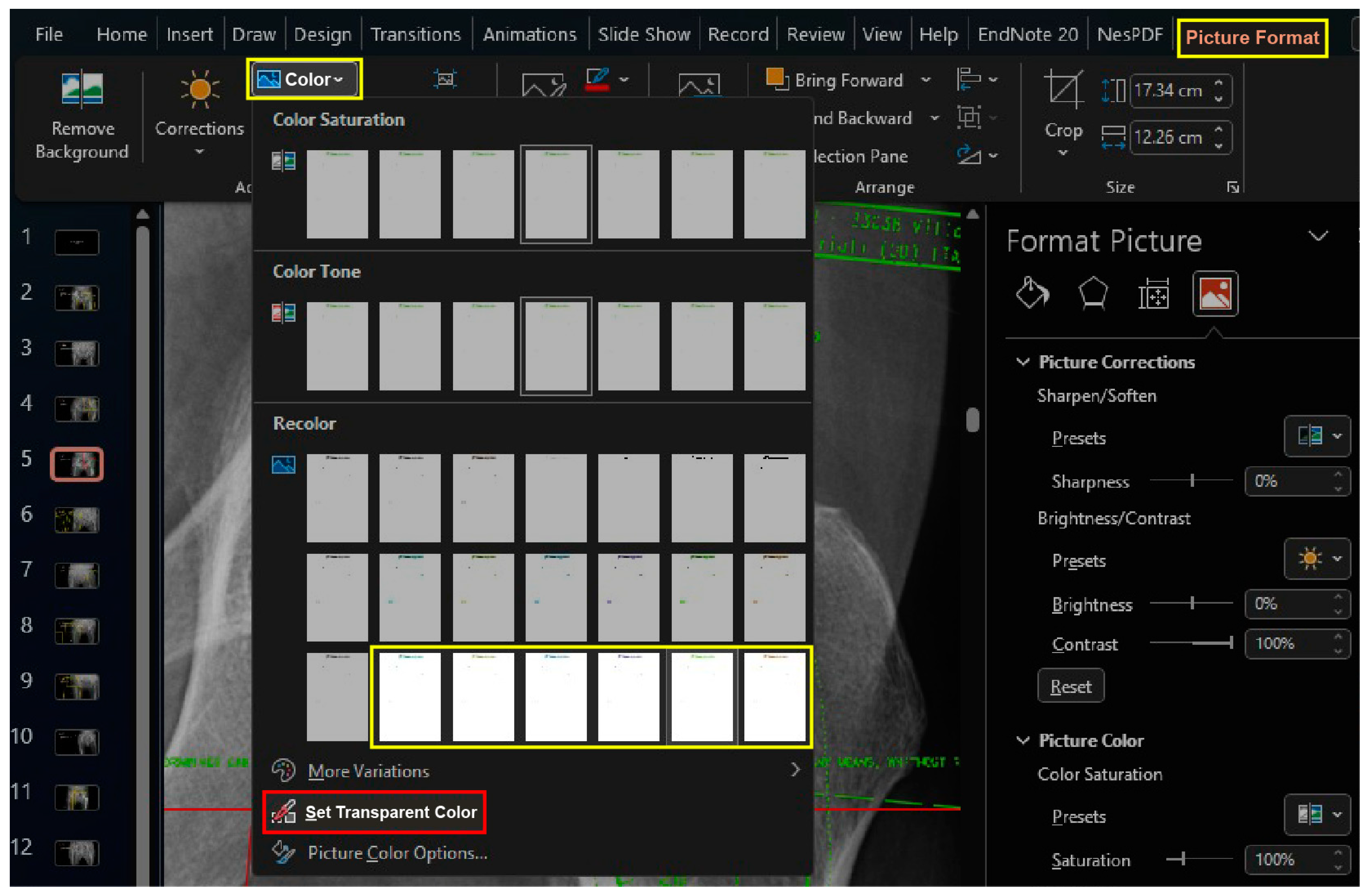 Bioengineering 11 00327 g003