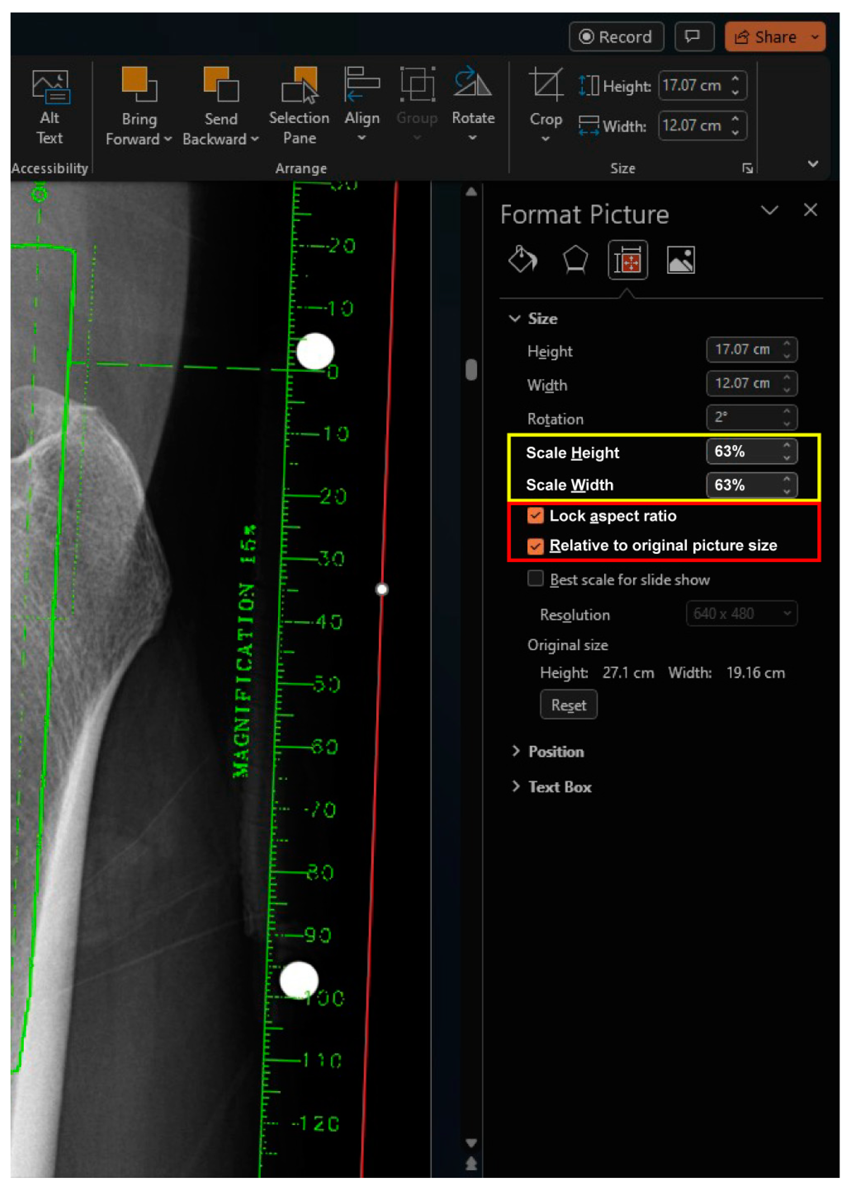 Bioengineering 11 00327 g004