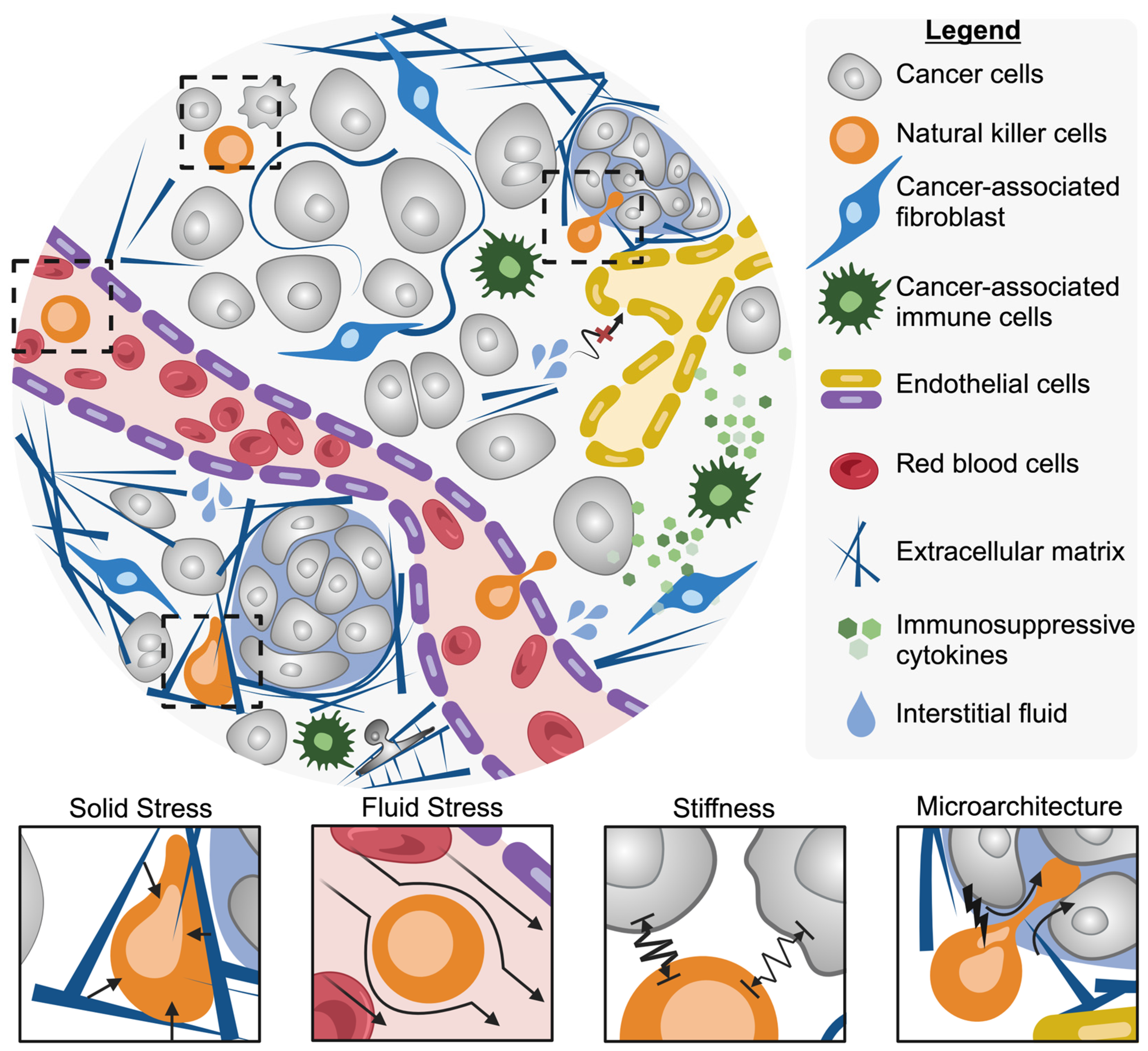 Bioengineering 11 00328 g002 Bioengineering 11 00328 g002