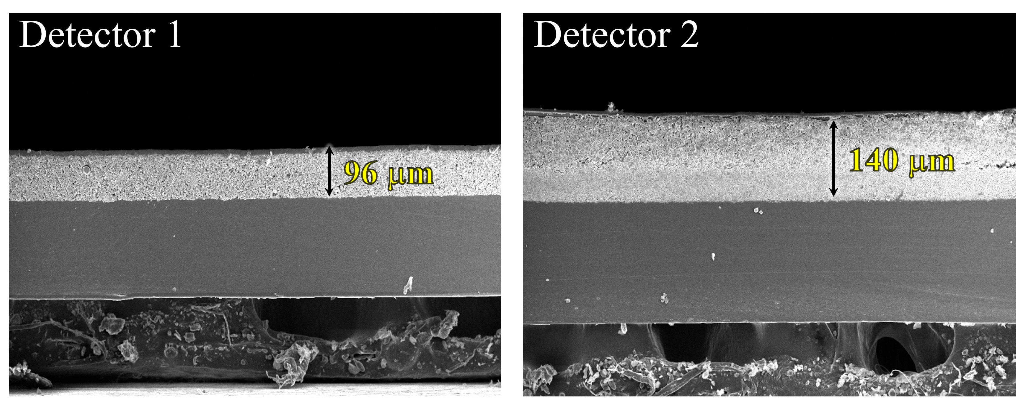 Bioengineering 11 00330 g001