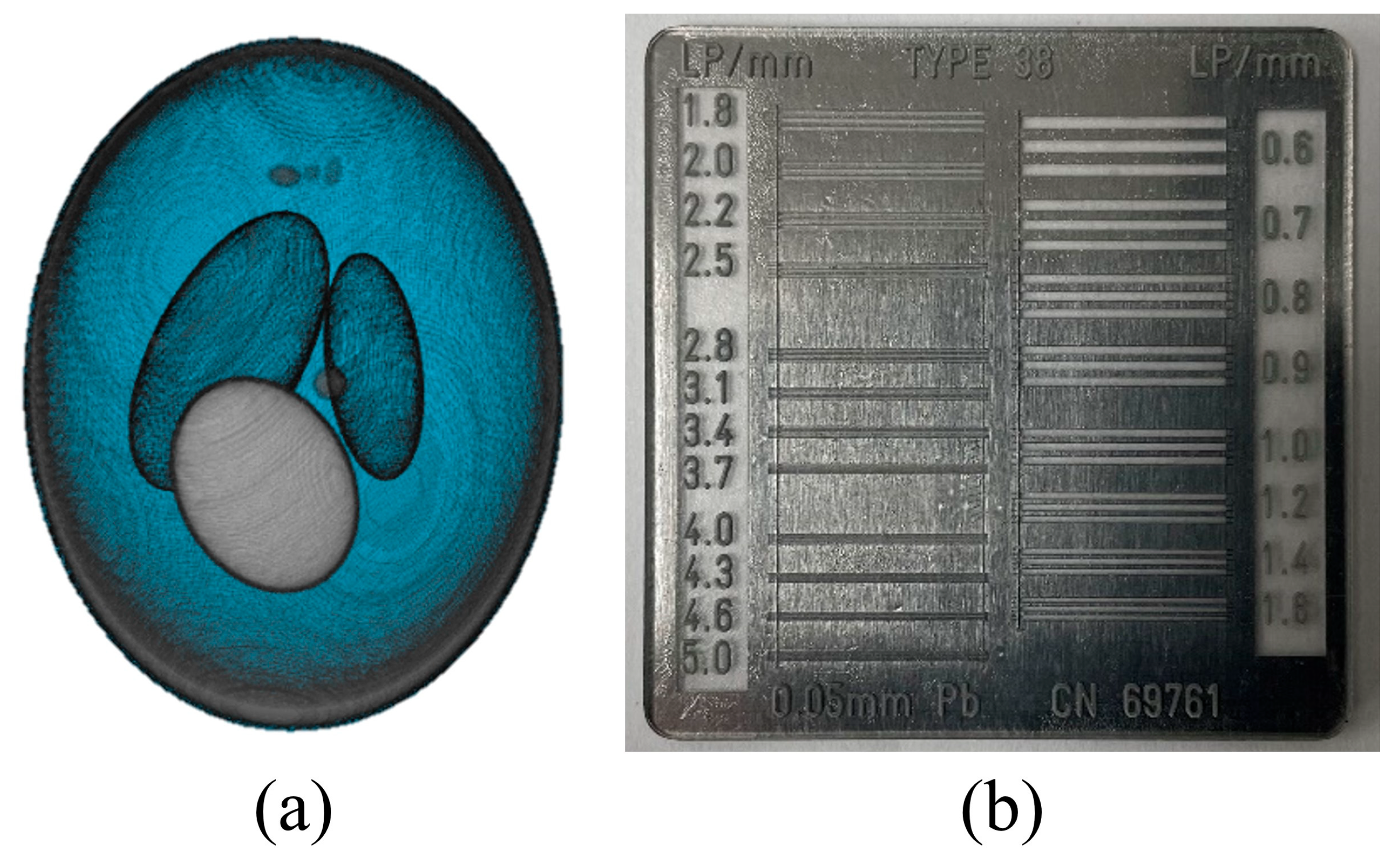 Bioengineering 11 00330 g002