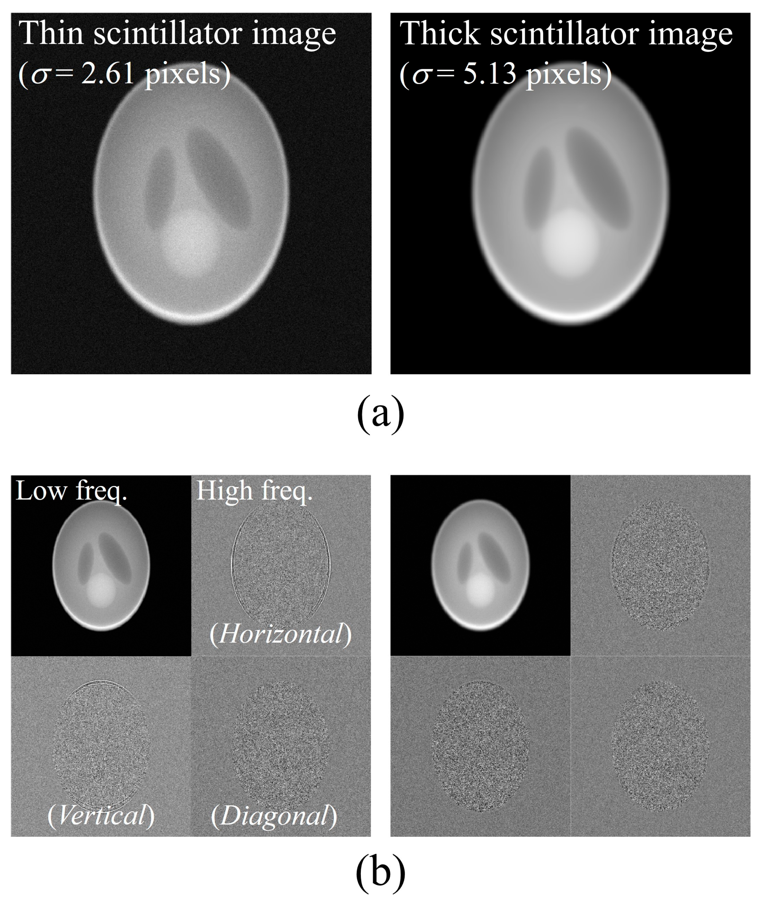 Bioengineering 11 00330 g004
