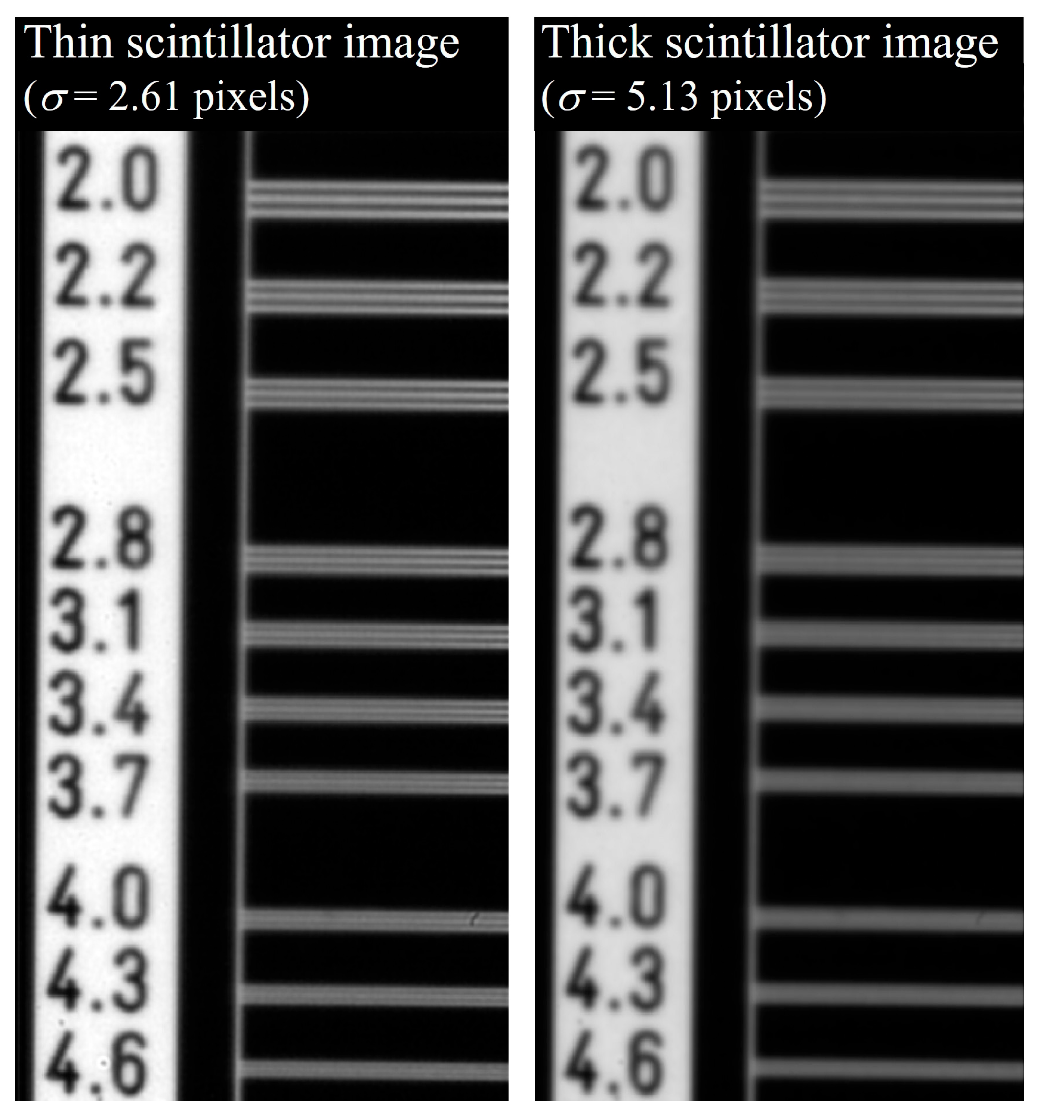 Bioengineering 11 00330 g008