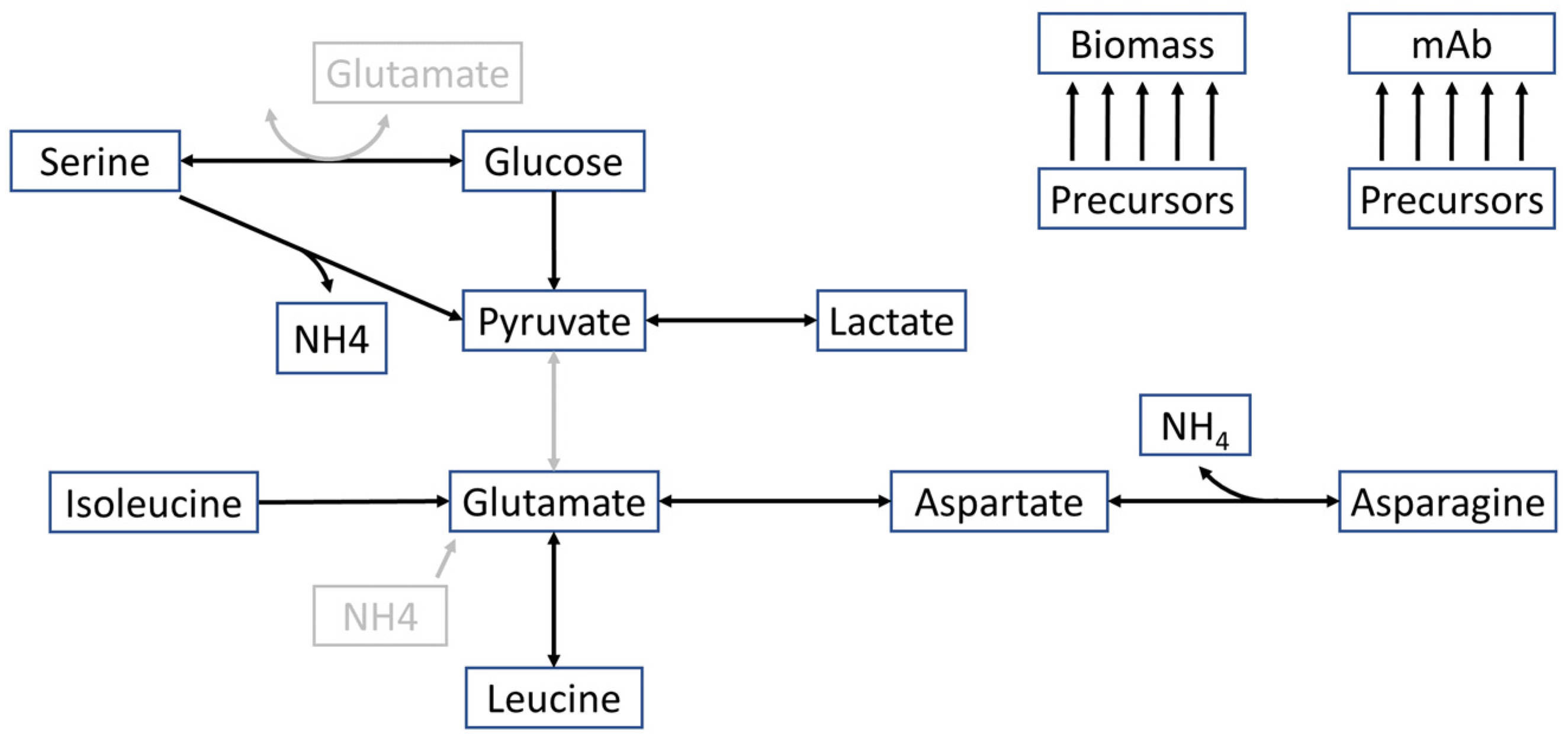 Bioengineering 11 00331 g001