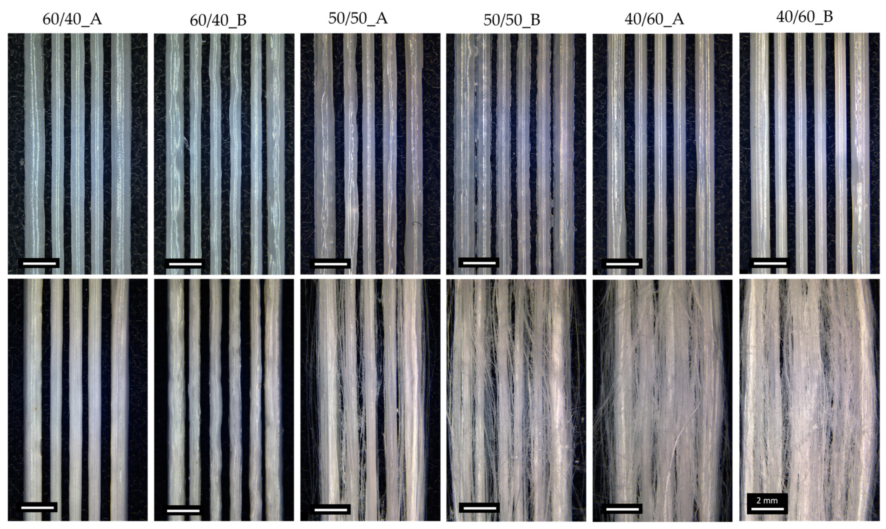 Bioengineering 11 00332 g002