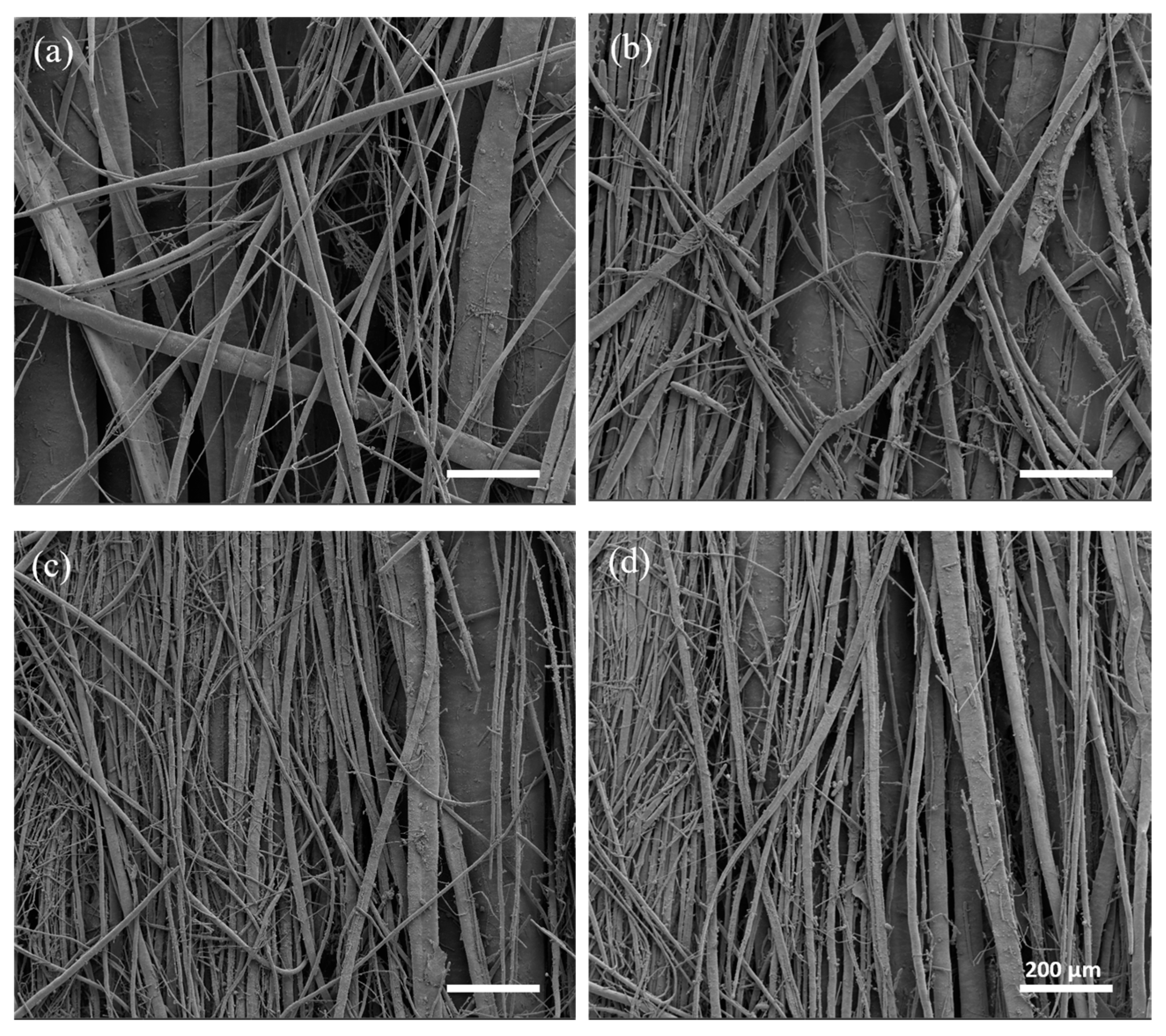 Bioengineering 11 00332 g004