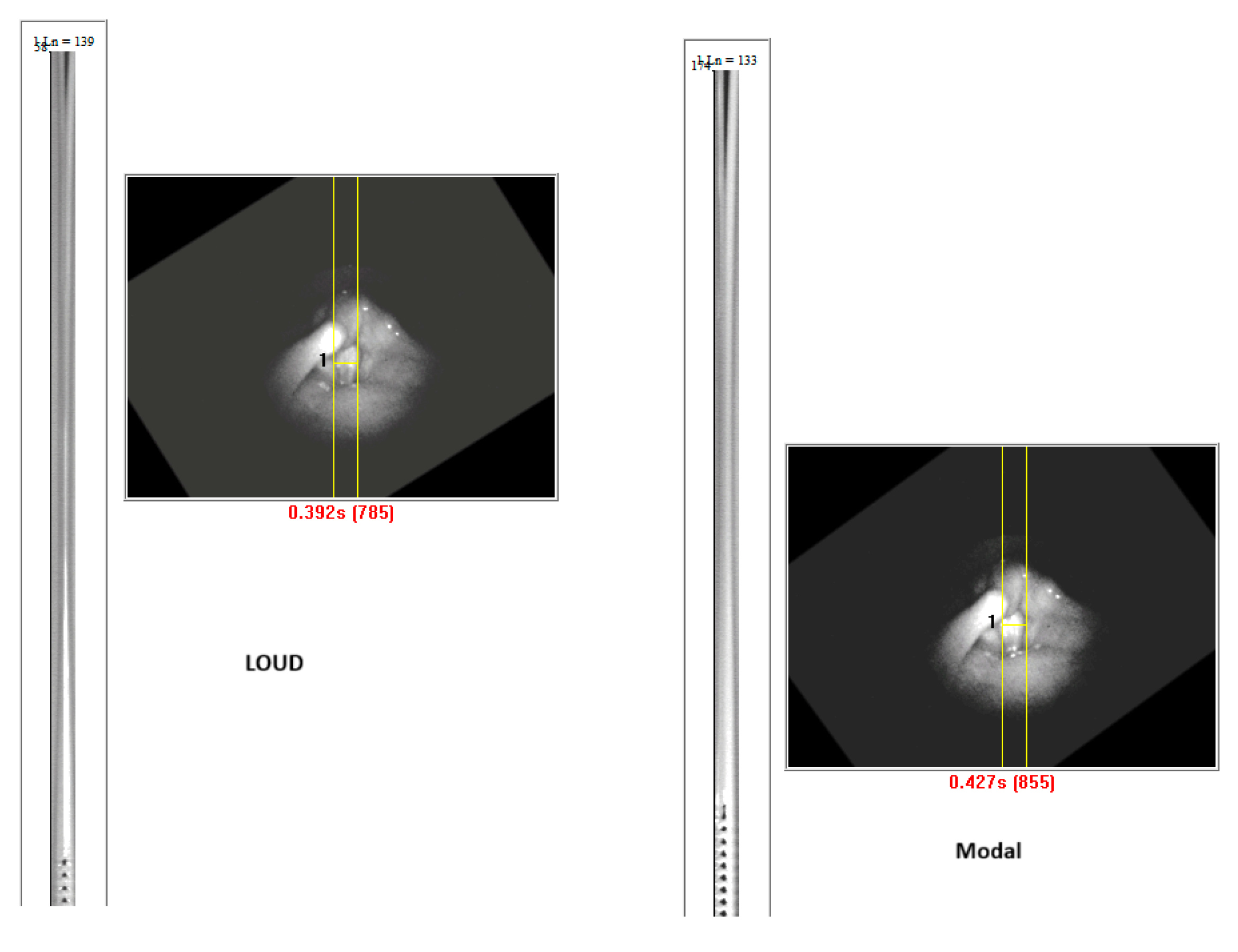 Bioengineering 11 00334 g009