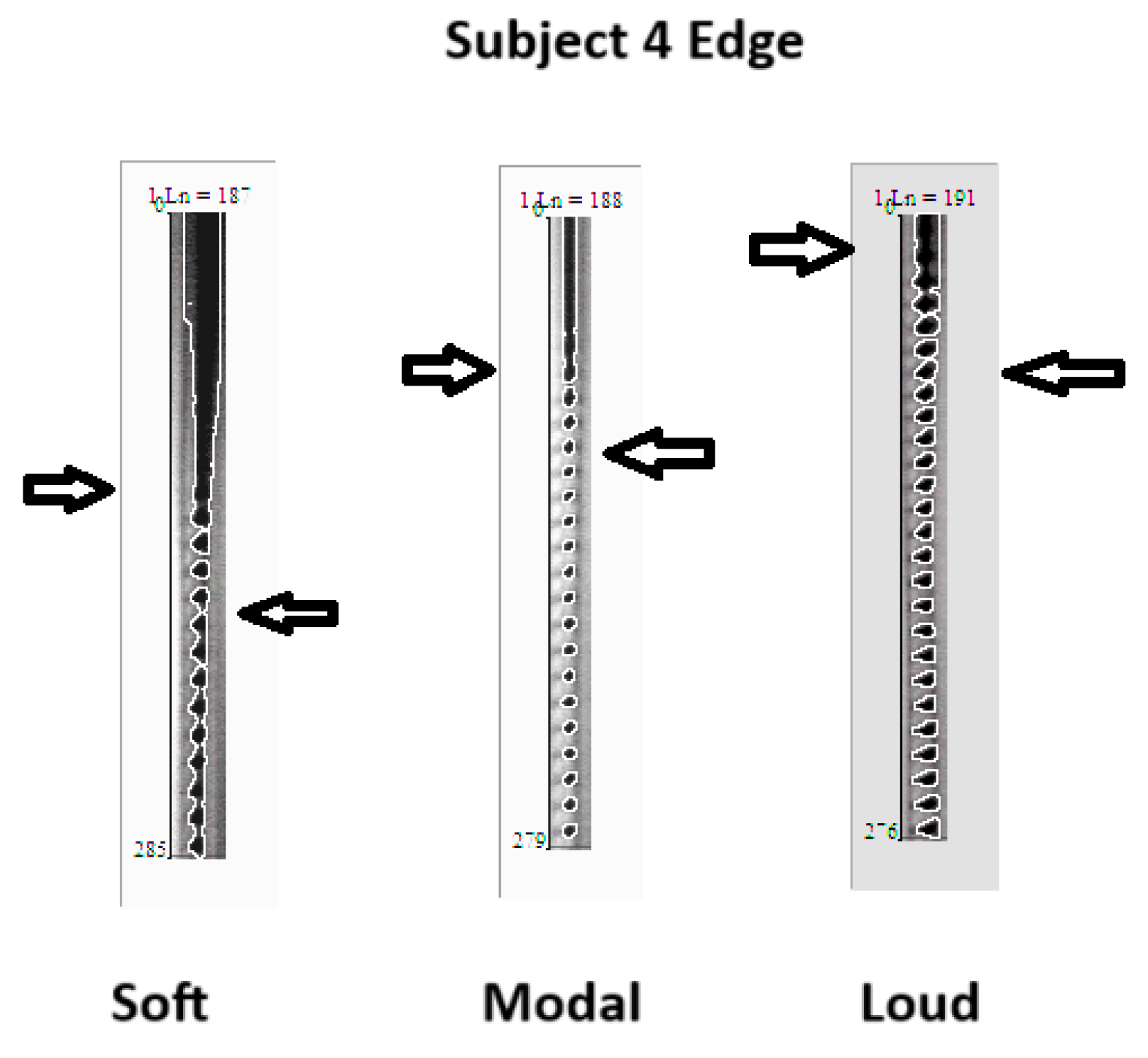 Bioengineering 11 00334 g010