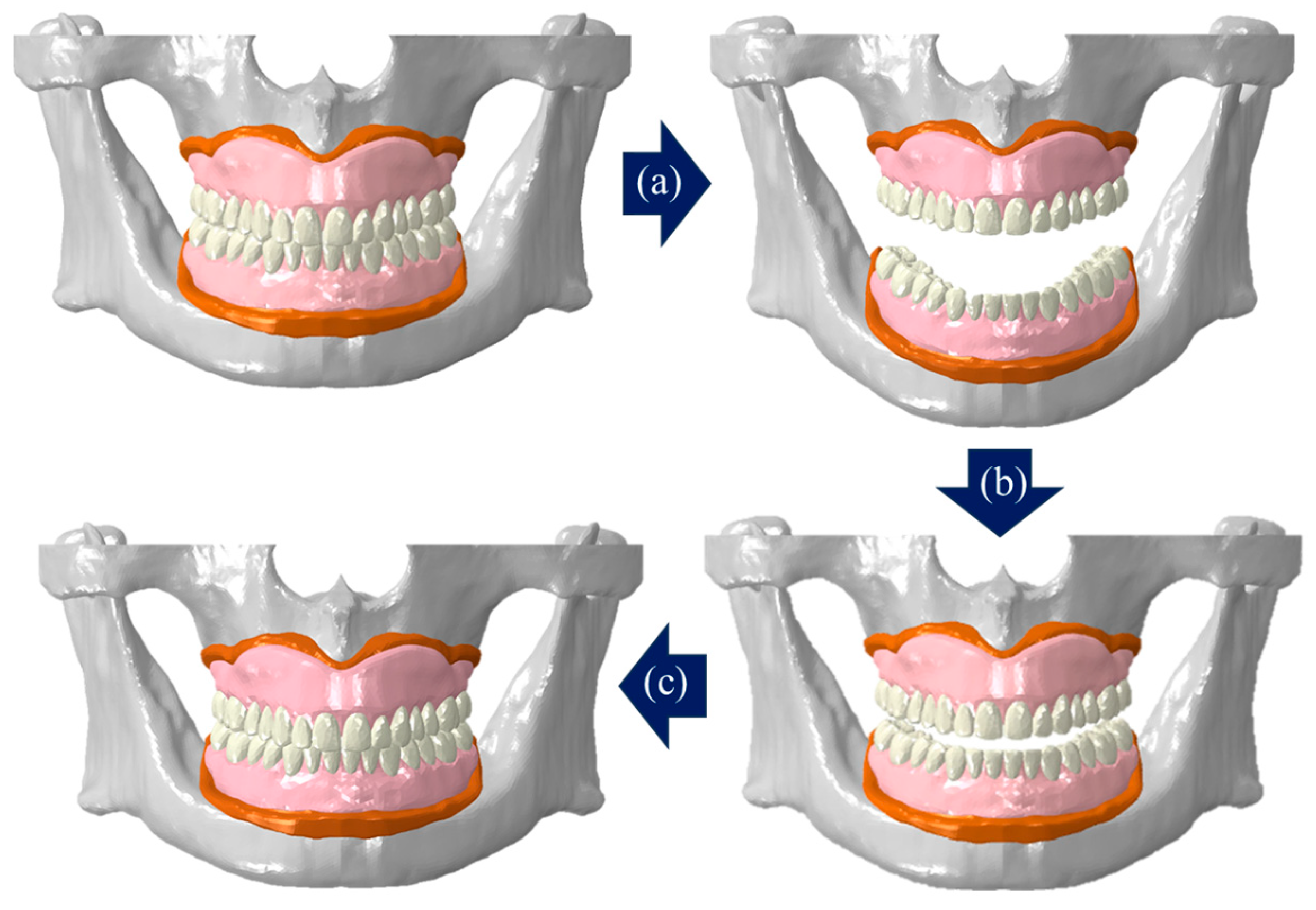 Bioengineering 11 00336 g005
