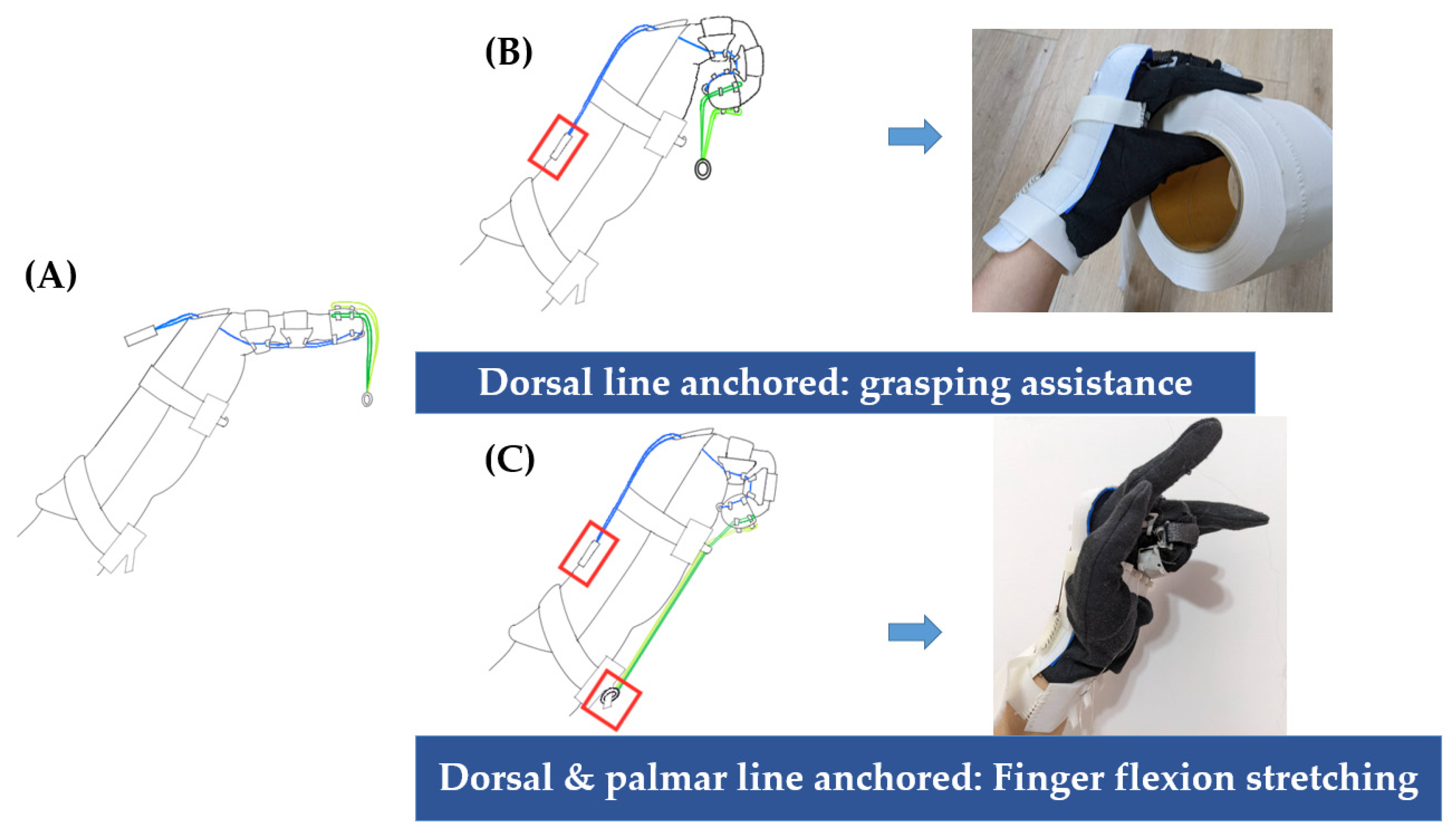 Bioengineering 11 00339 g002