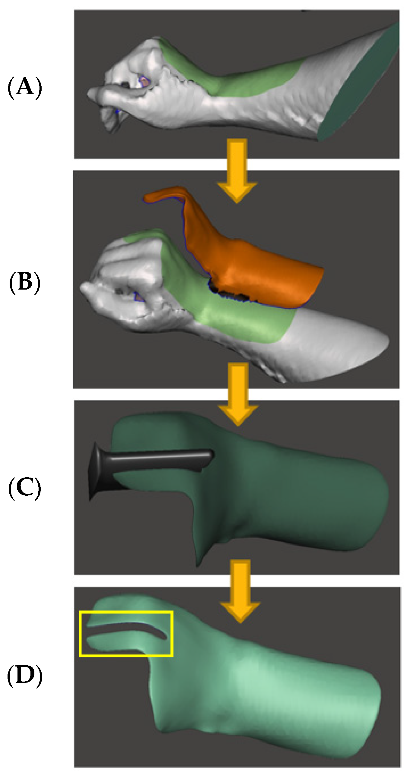 Bioengineering 11 00339 g003