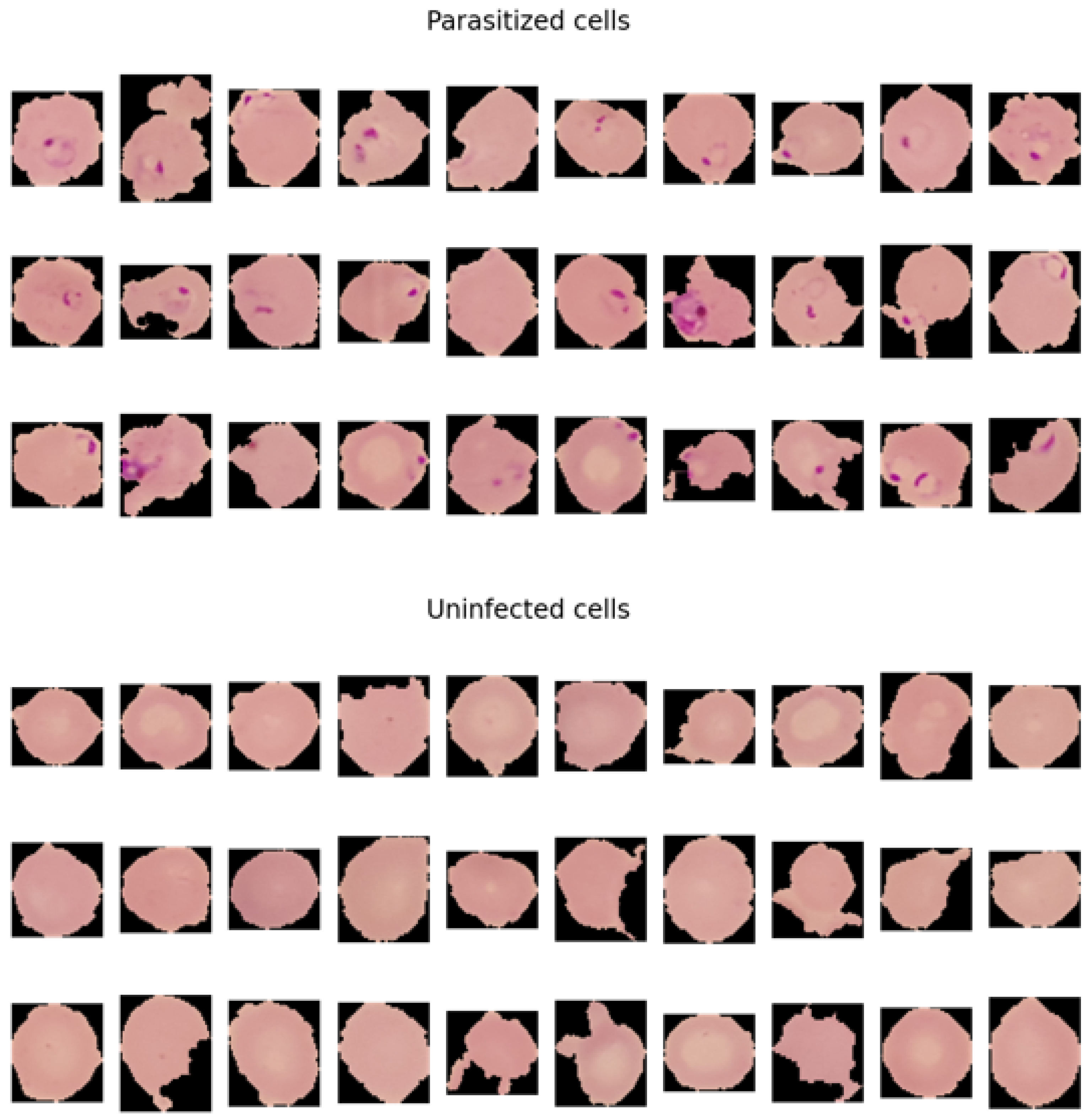 Bioengineering 11 00340 g004 Bioengineering 11 00340 g004