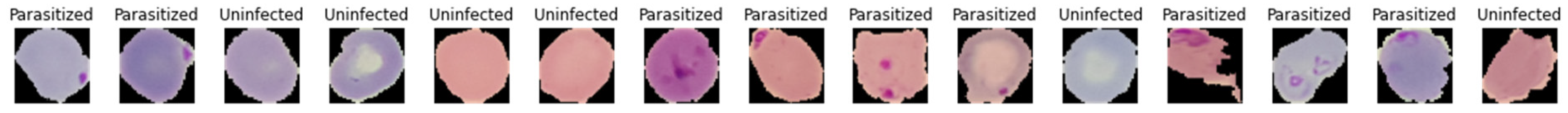 Bioengineering 11 00340 g005 Bioengineering 11 00340 g005