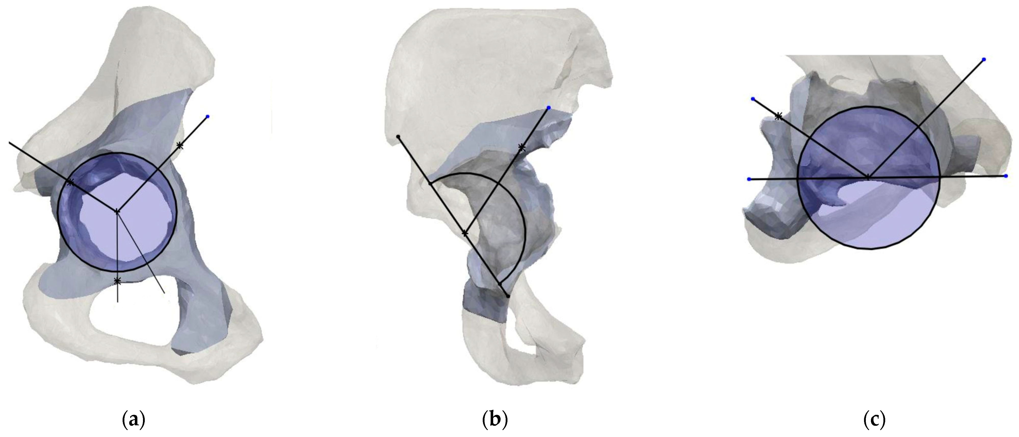 Bioengineering 11 00341 g005