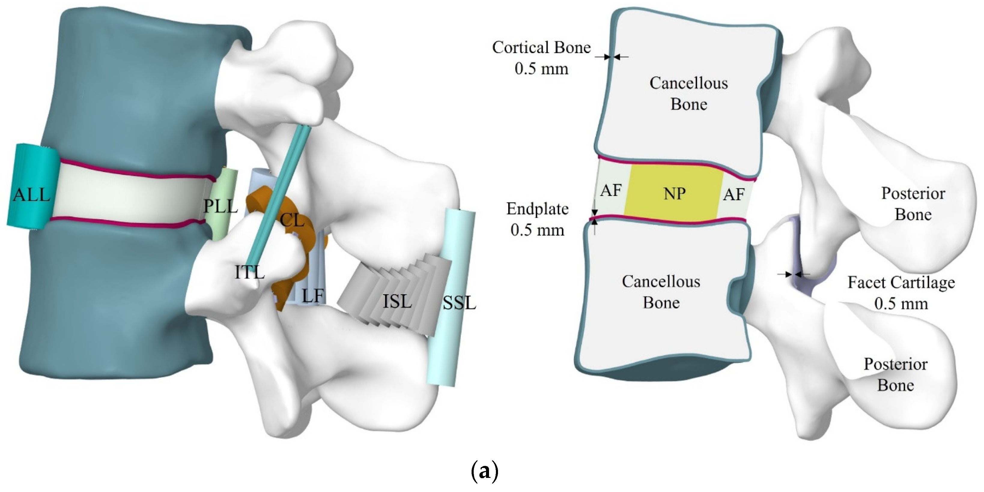 Bioengineering 11 00344 g002a