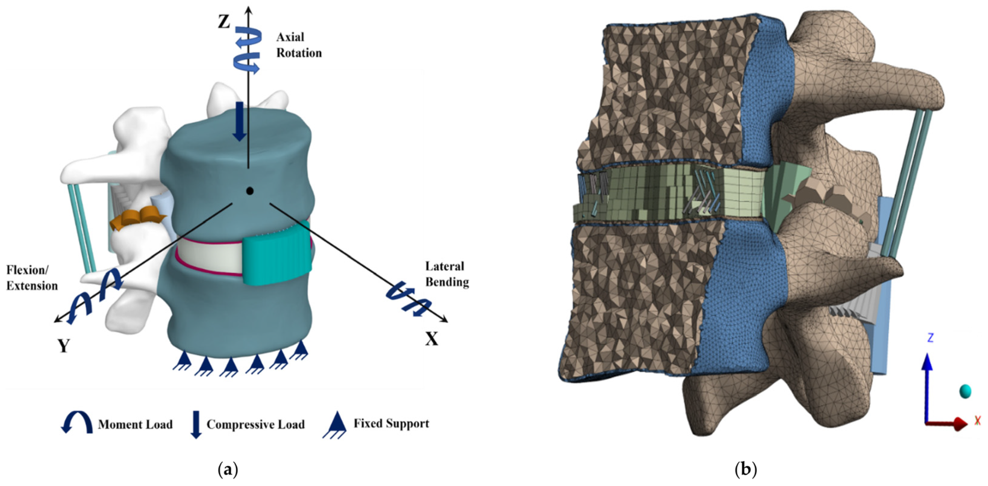Bioengineering 11 00344 g003