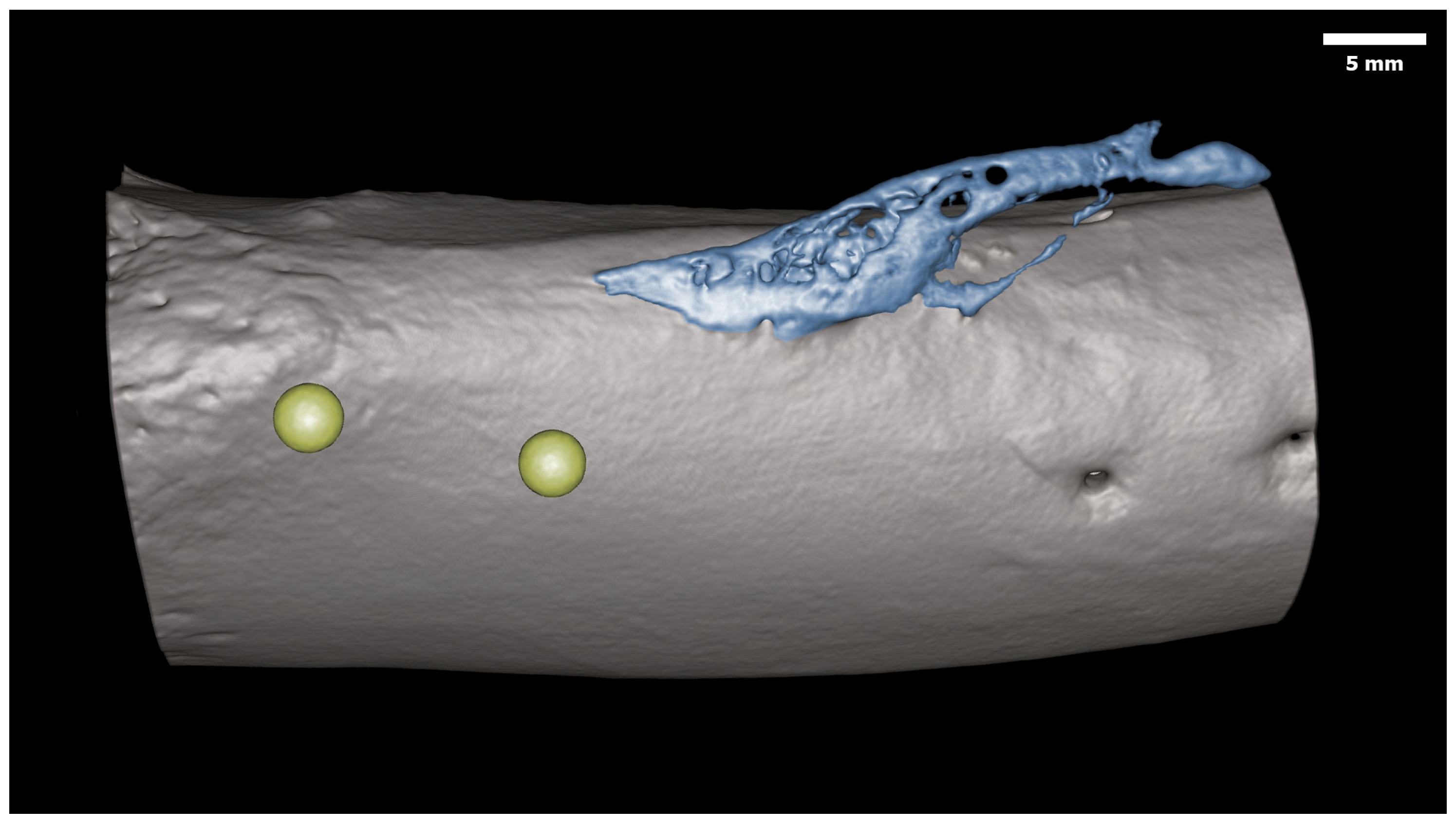 Bioengineering 11 00350 g002