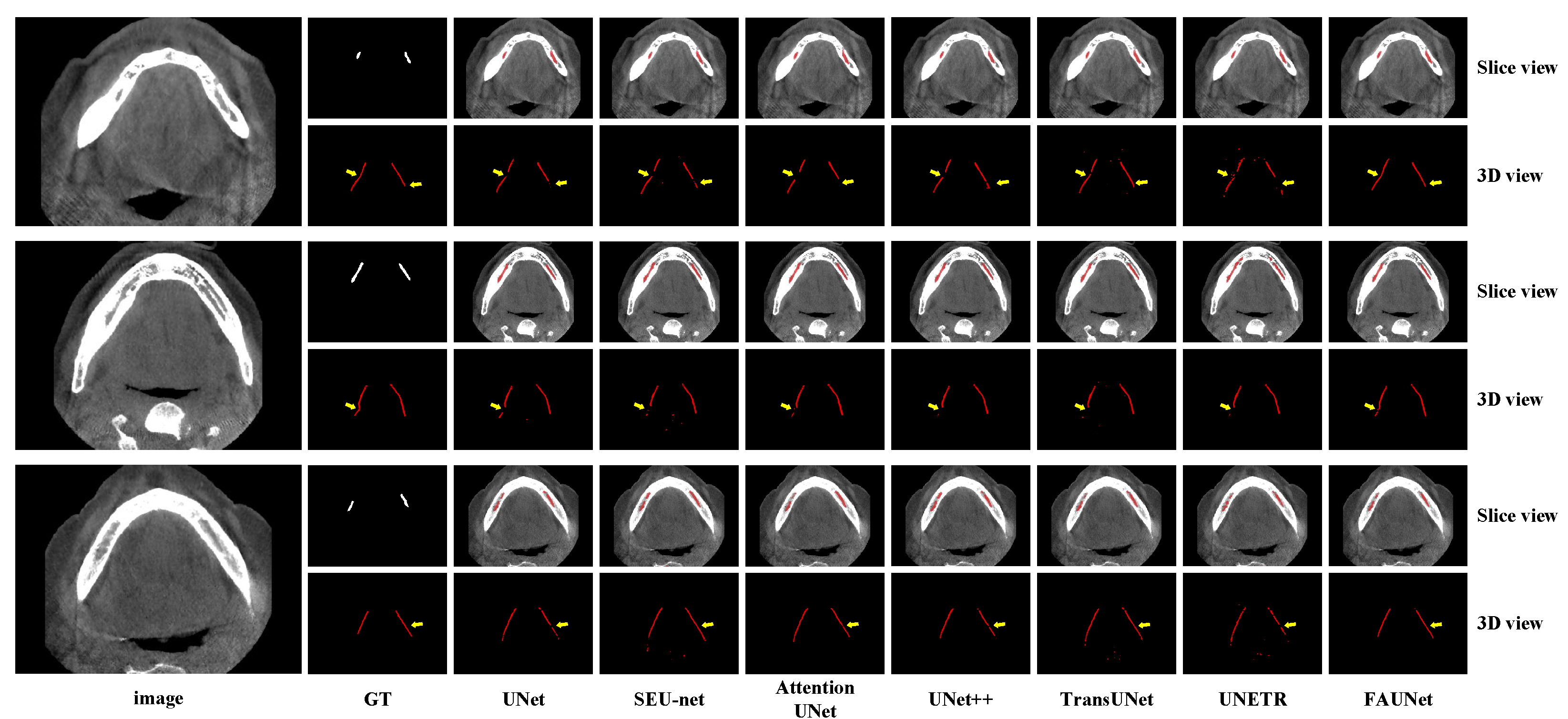 Bioengineering 11 00354 g005