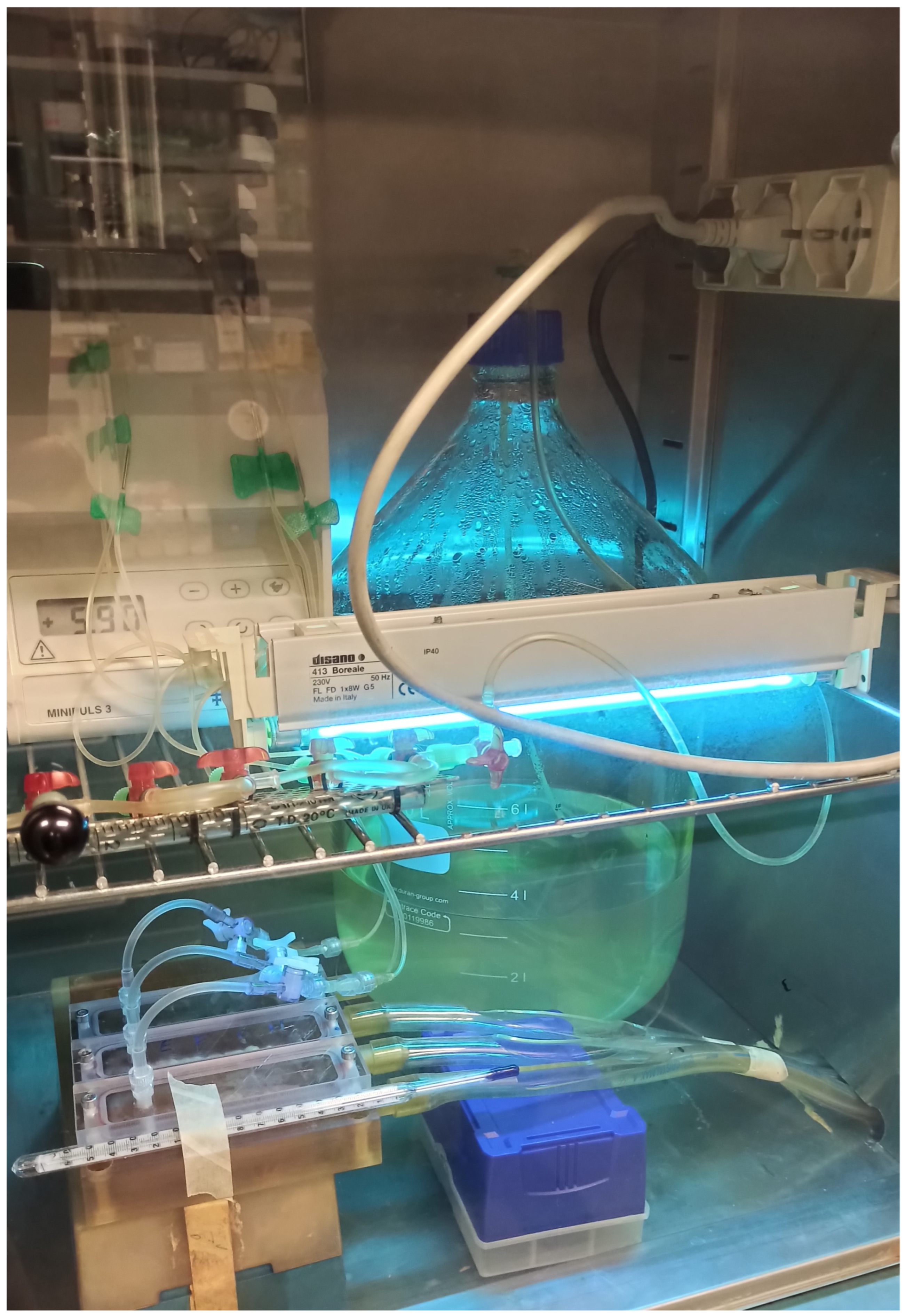 Bioengineering 11 00355 g001